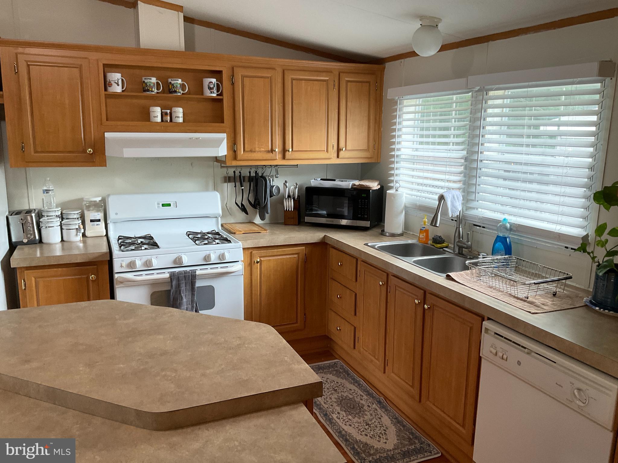 156 Jaguar Drive