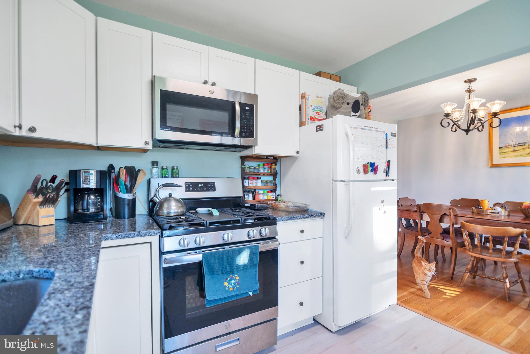 518 Delmar Ave