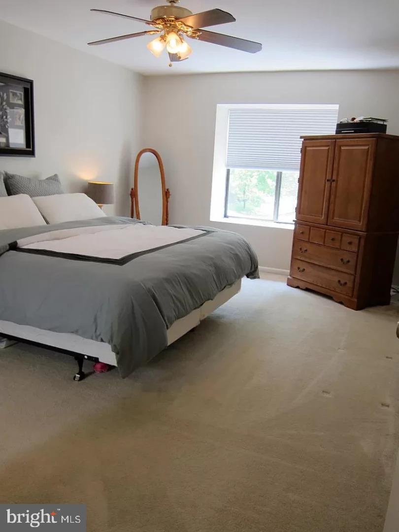 6503 Sewells Orchard DRIVE