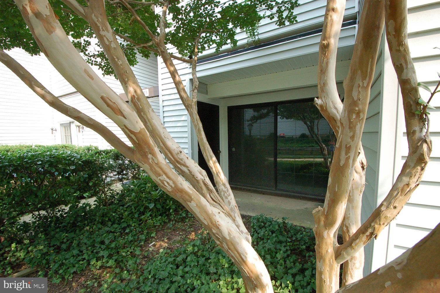 1623 CARRIAGE HOUSE TERRACE Unit: D