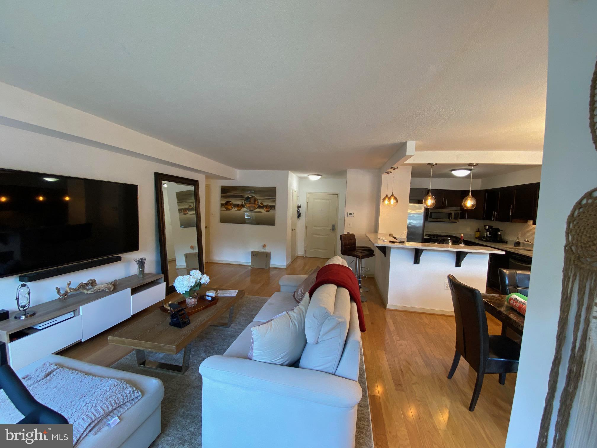 7333 New Hampshire AVENUE Unit: 110S