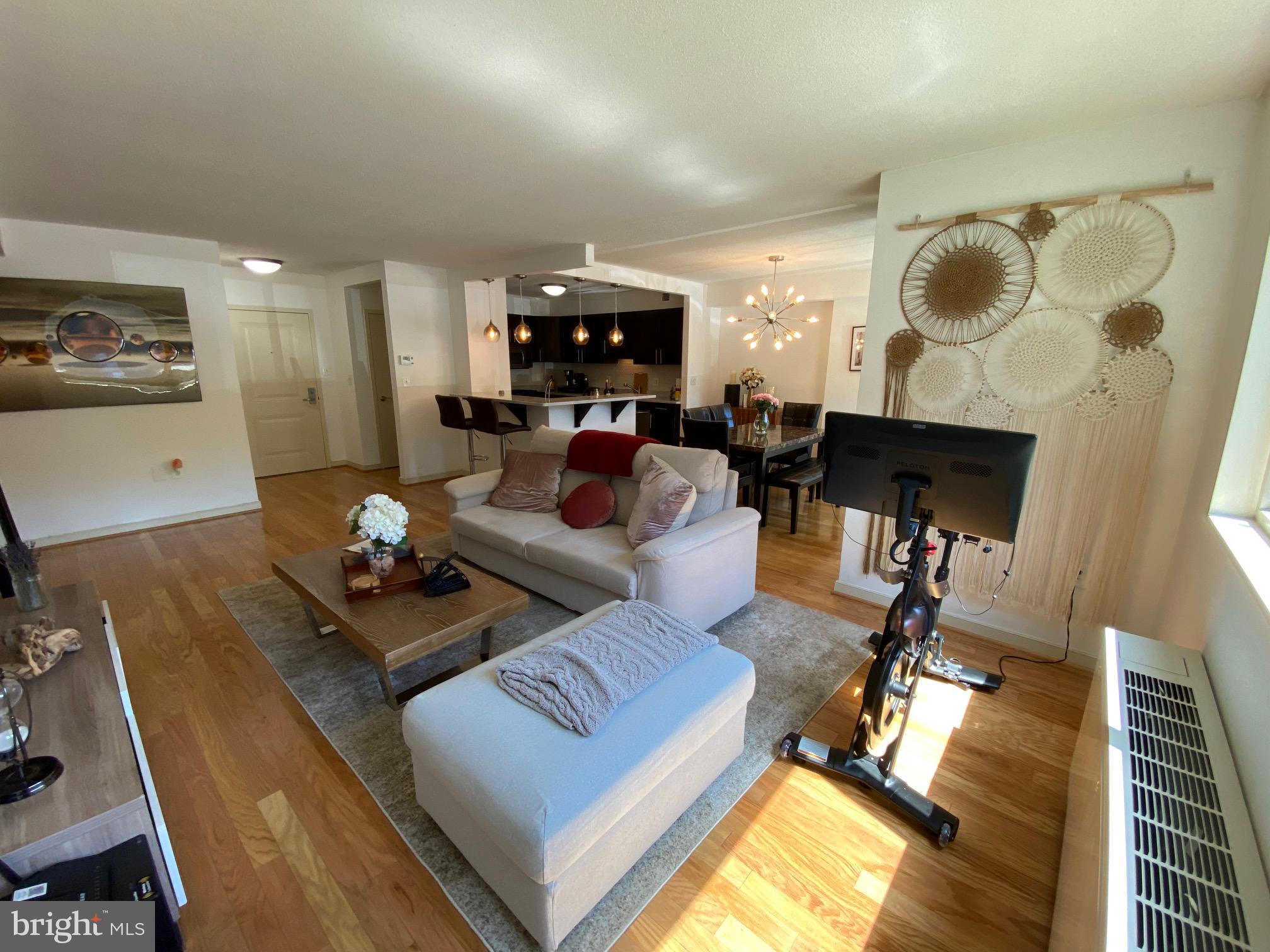 7333 New Hampshire AVENUE Unit: 110S