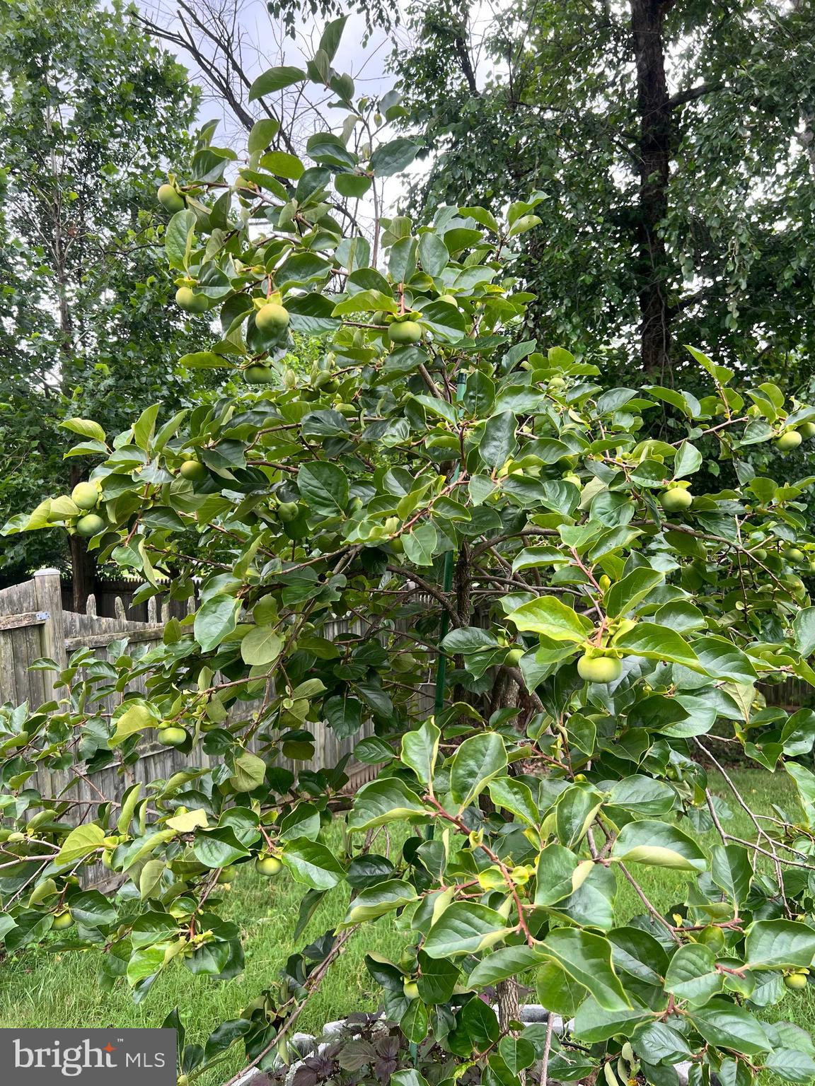 3521 TURBRIDGE DRIVE