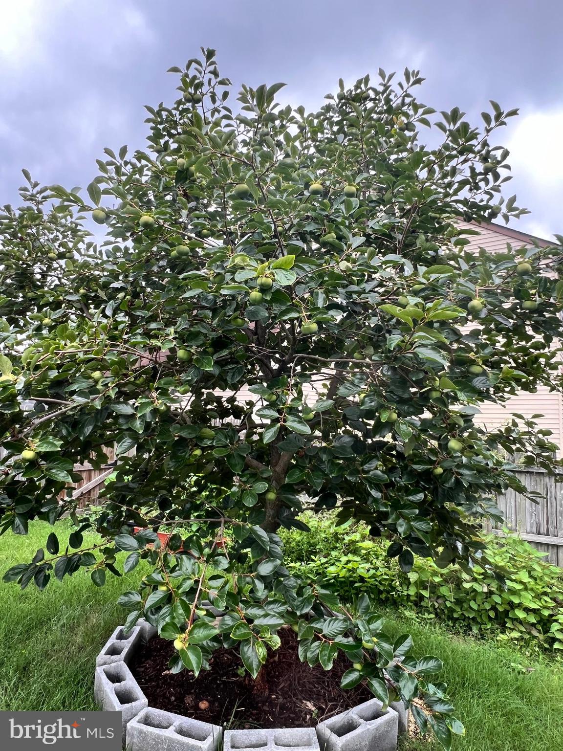 3521 TURBRIDGE DRIVE