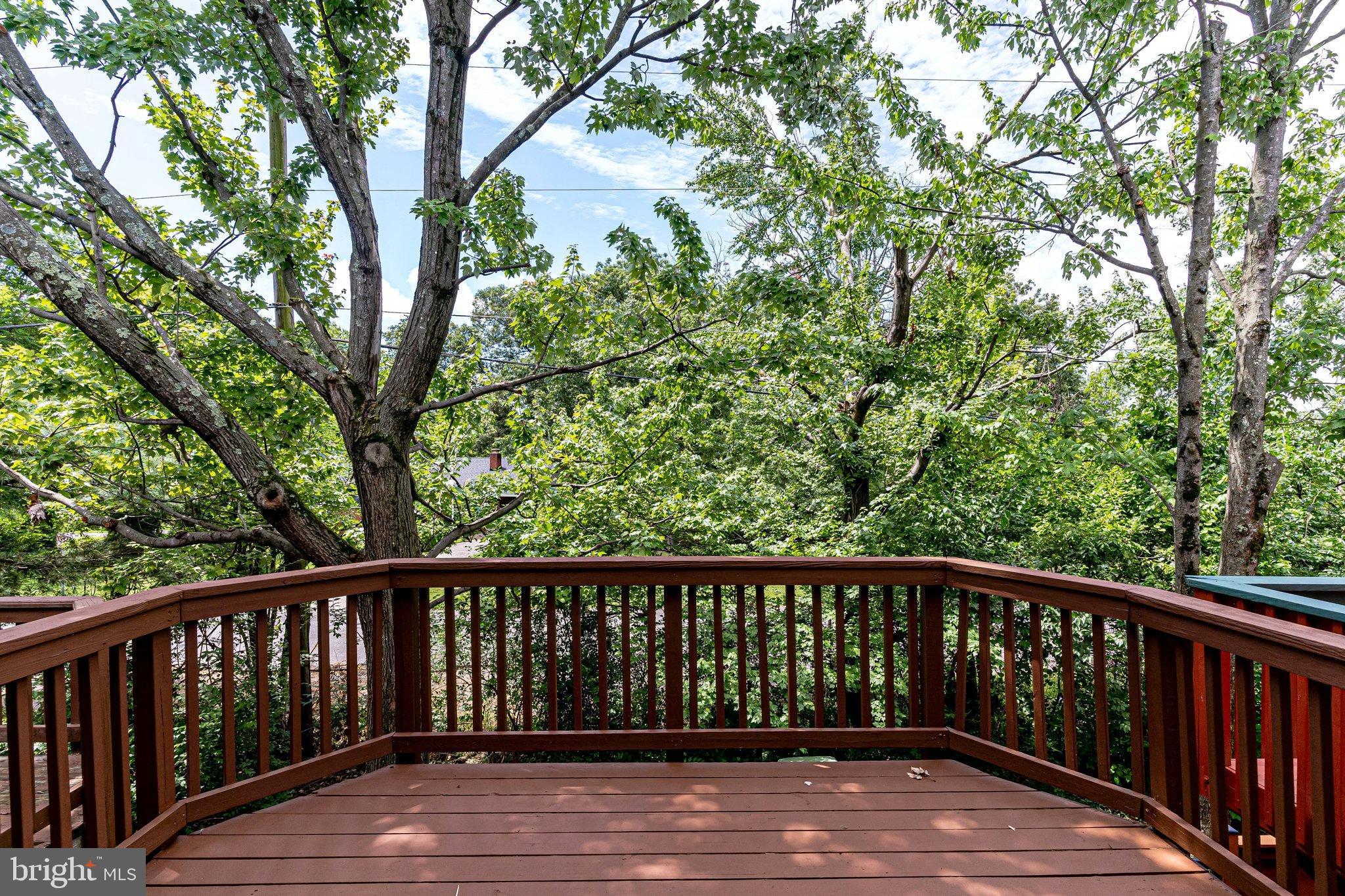 2841 SHEPPERTON TERRACE