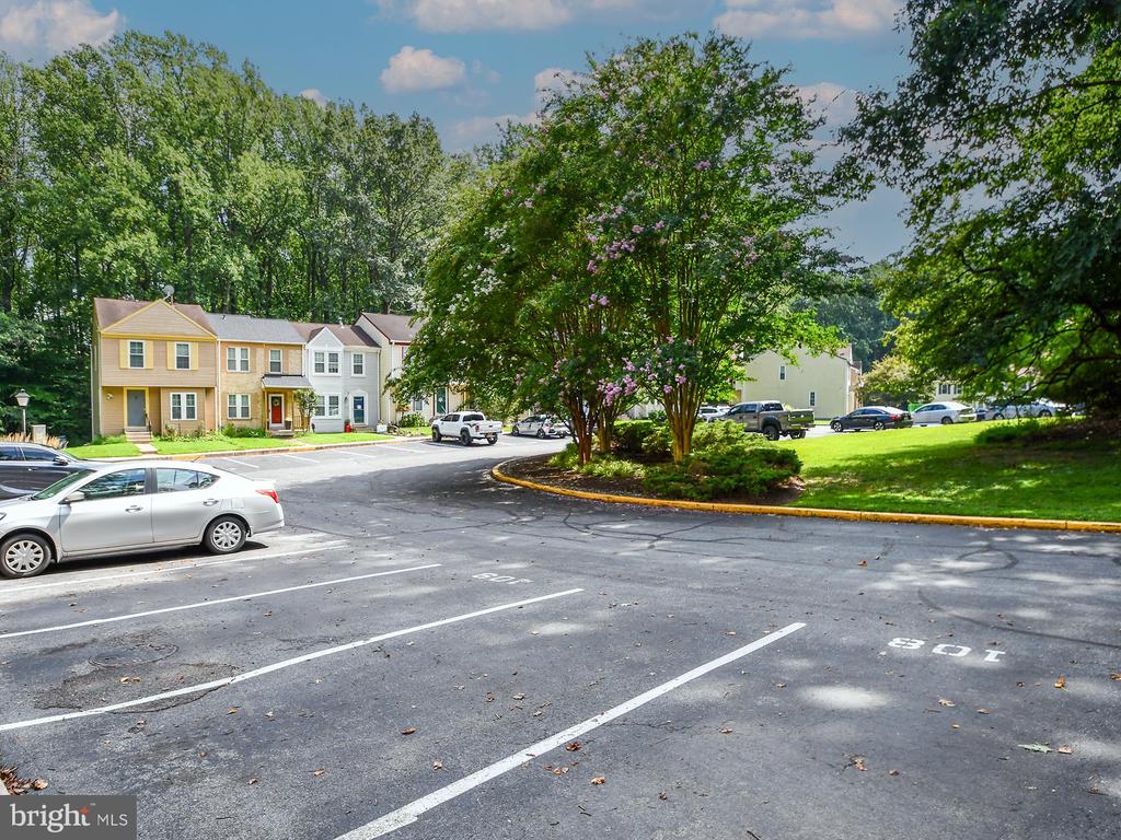 14403 LONG GREEN DRIVE
