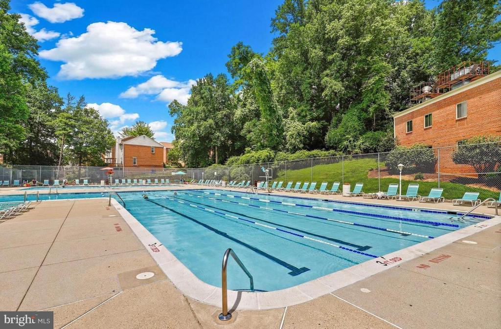 10413 MONTROSE AVENUE Unit: 202