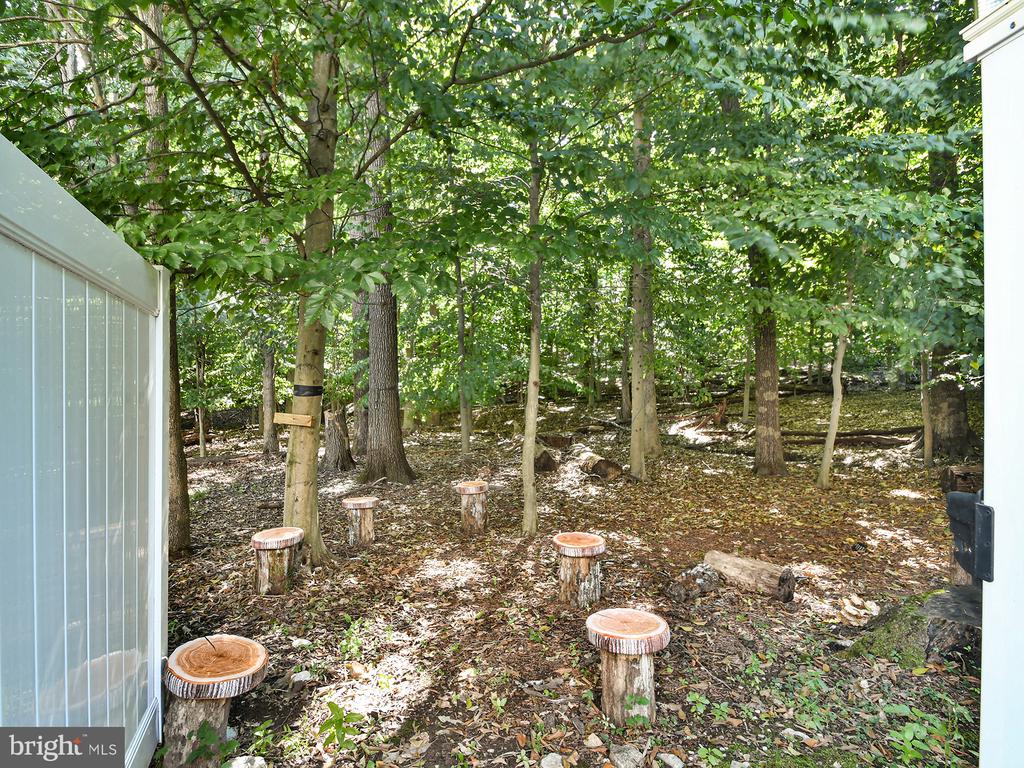 3020 BIG BEAR TERRACE