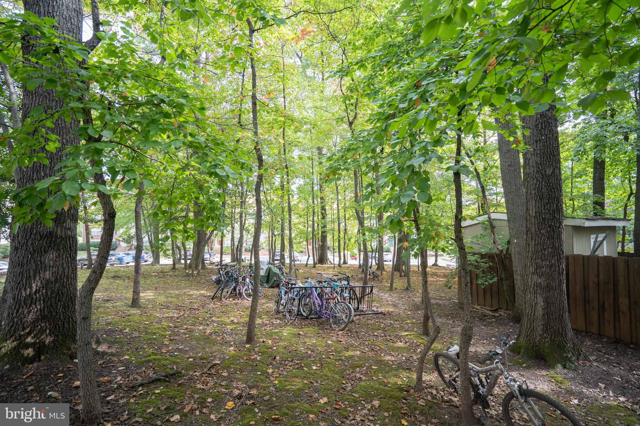 12108 Green Leaf Ct #114