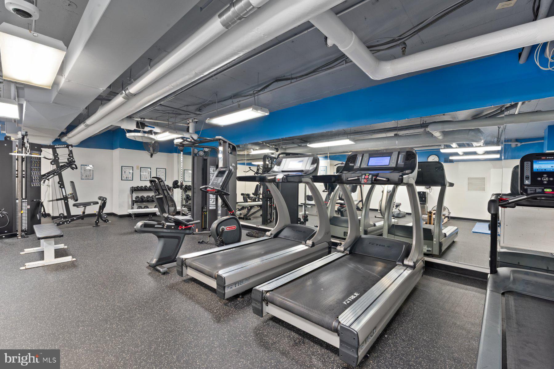 2311 PIMMIT DRIVE 606