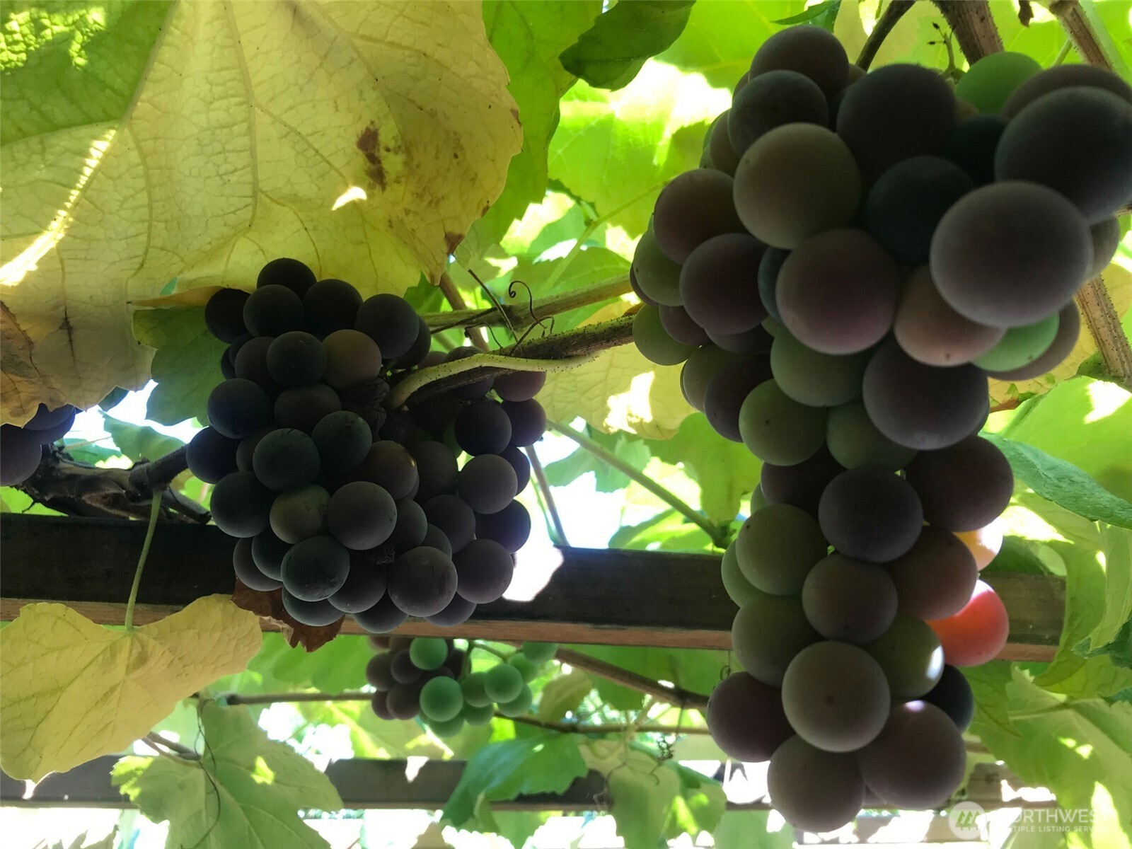 6448 NE 184th Street