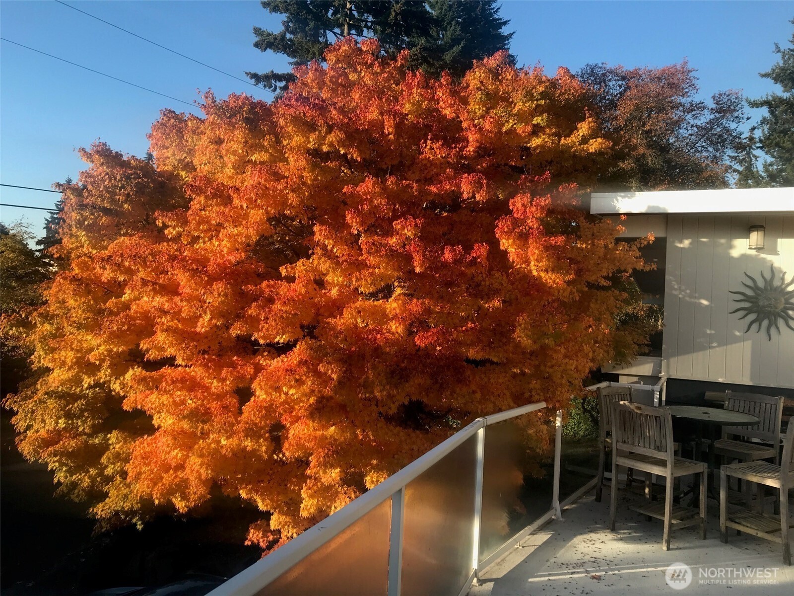 6448 NE 184th Street