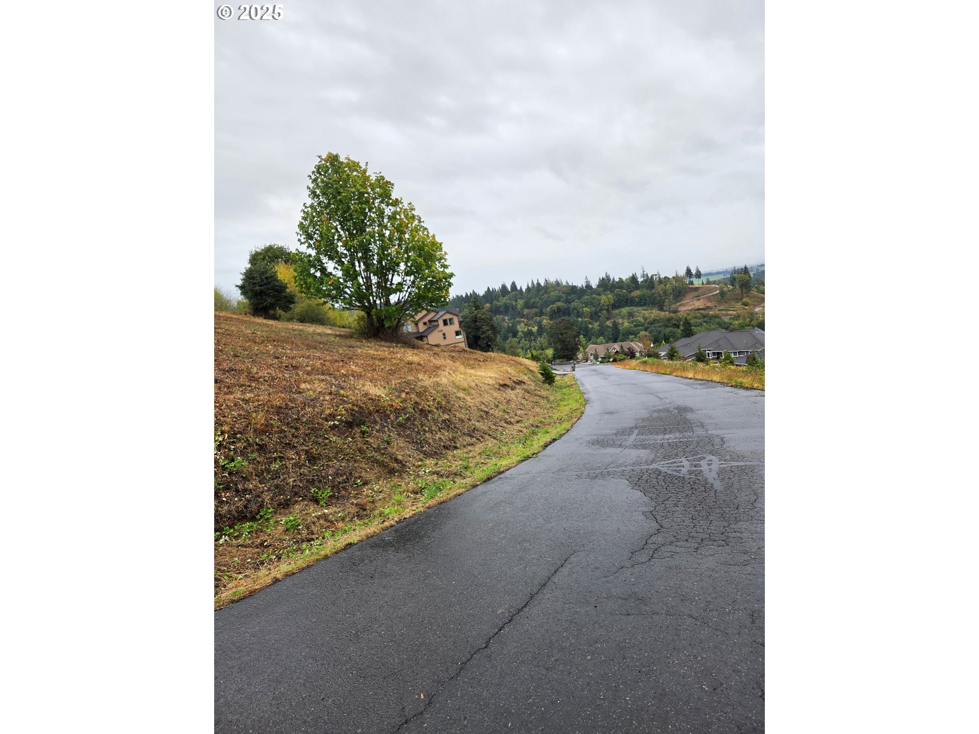 156 Wilson Ridge RD, Kalama