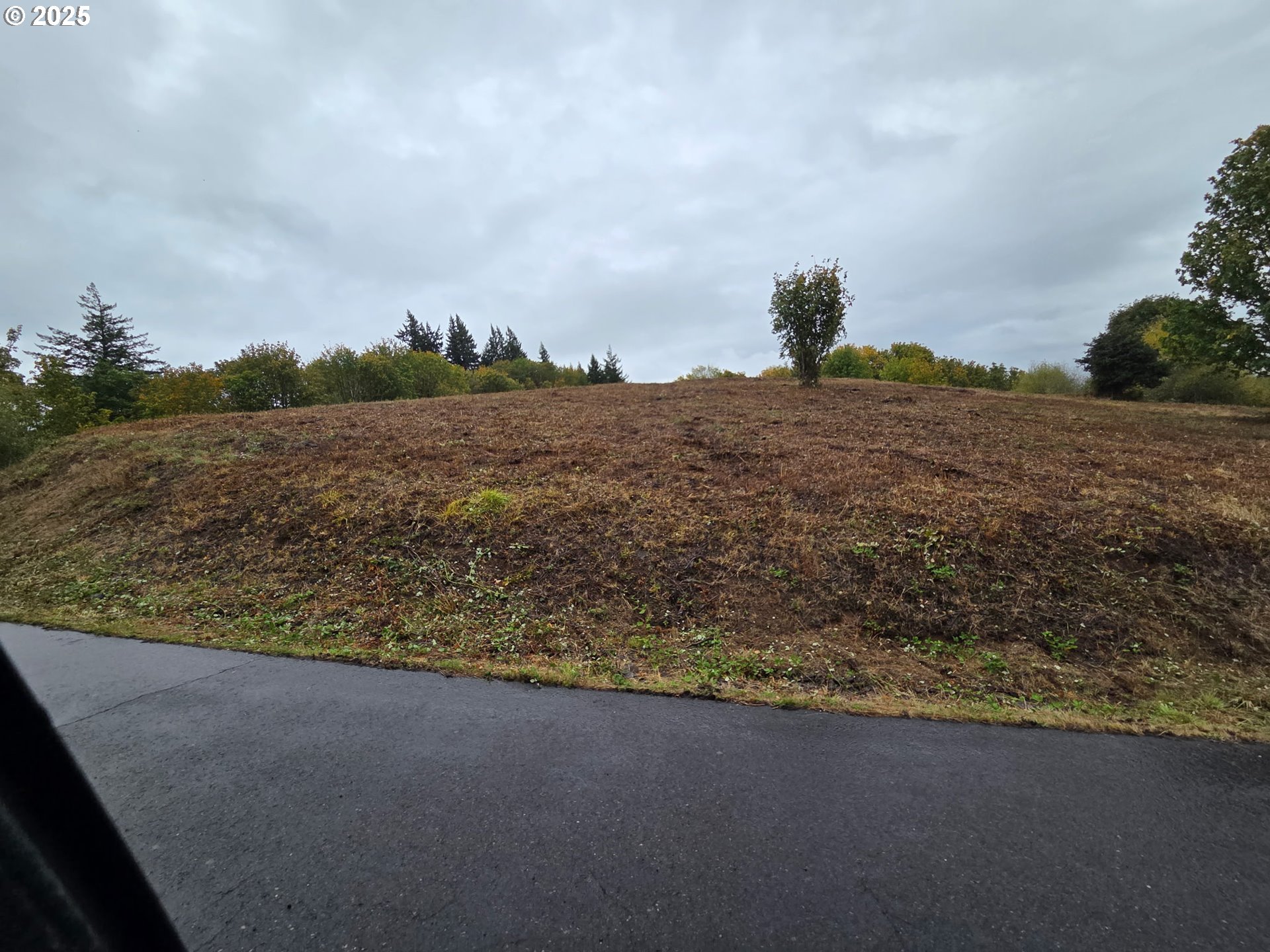 156 Wilson Ridge RD, Kalama
