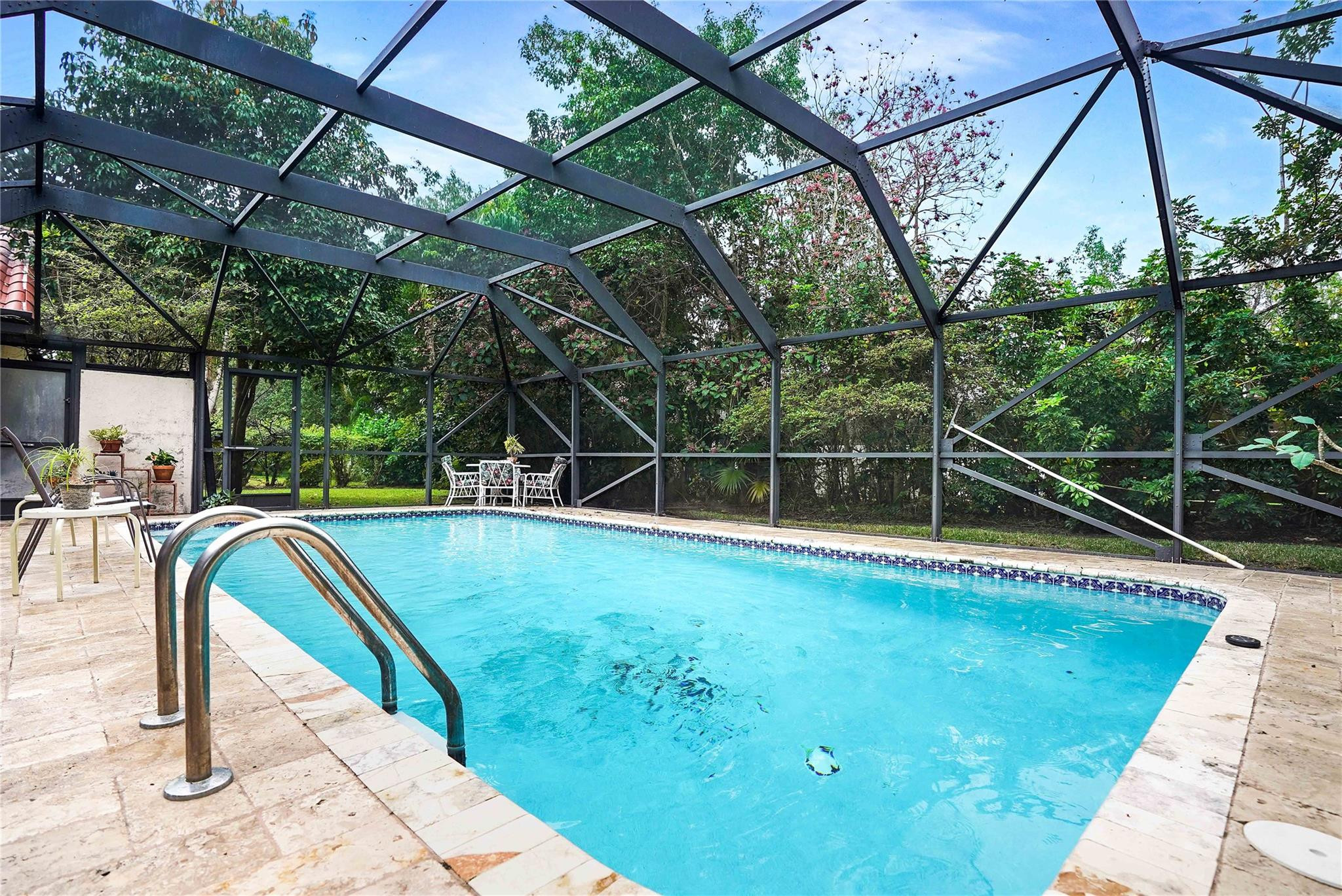 Swimming pool beneath a tall black screen enclosure, with a tiled deck and surrounding greenery.