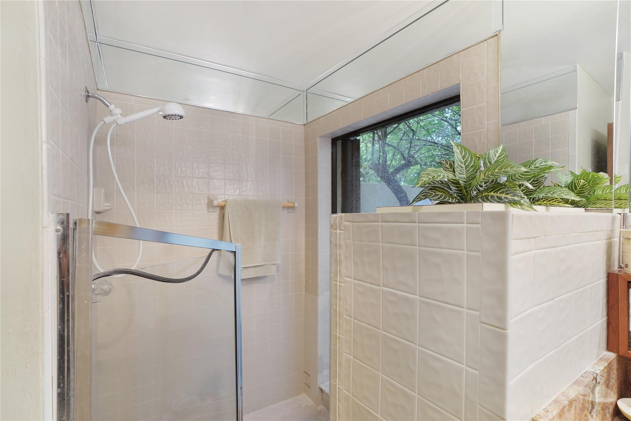 Tiled bathroom shower with glass enclosure and a leafy planter beside a large window.