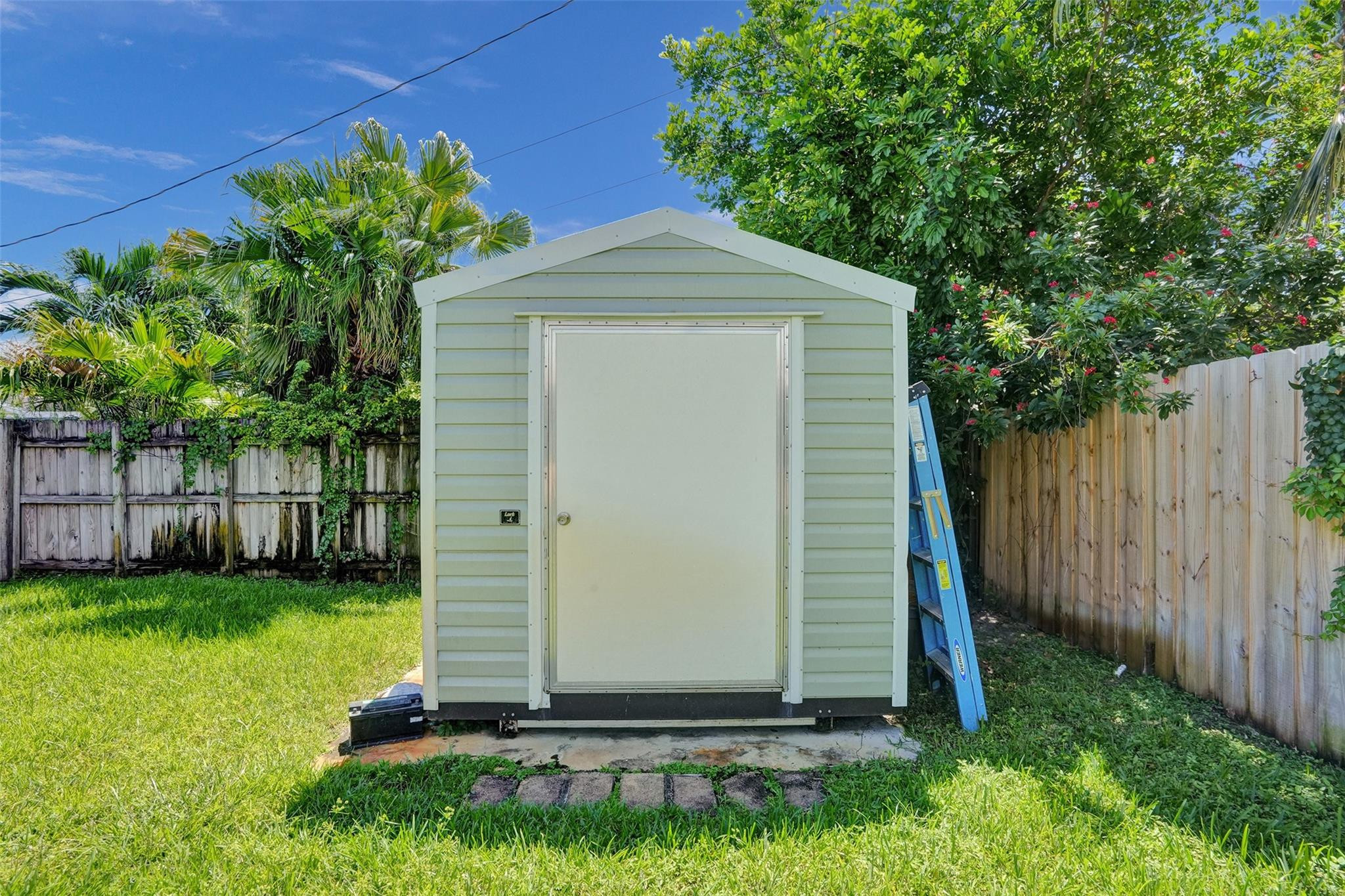Pale green backyard storage shed with a white door, blue ladder, and wooden fences.