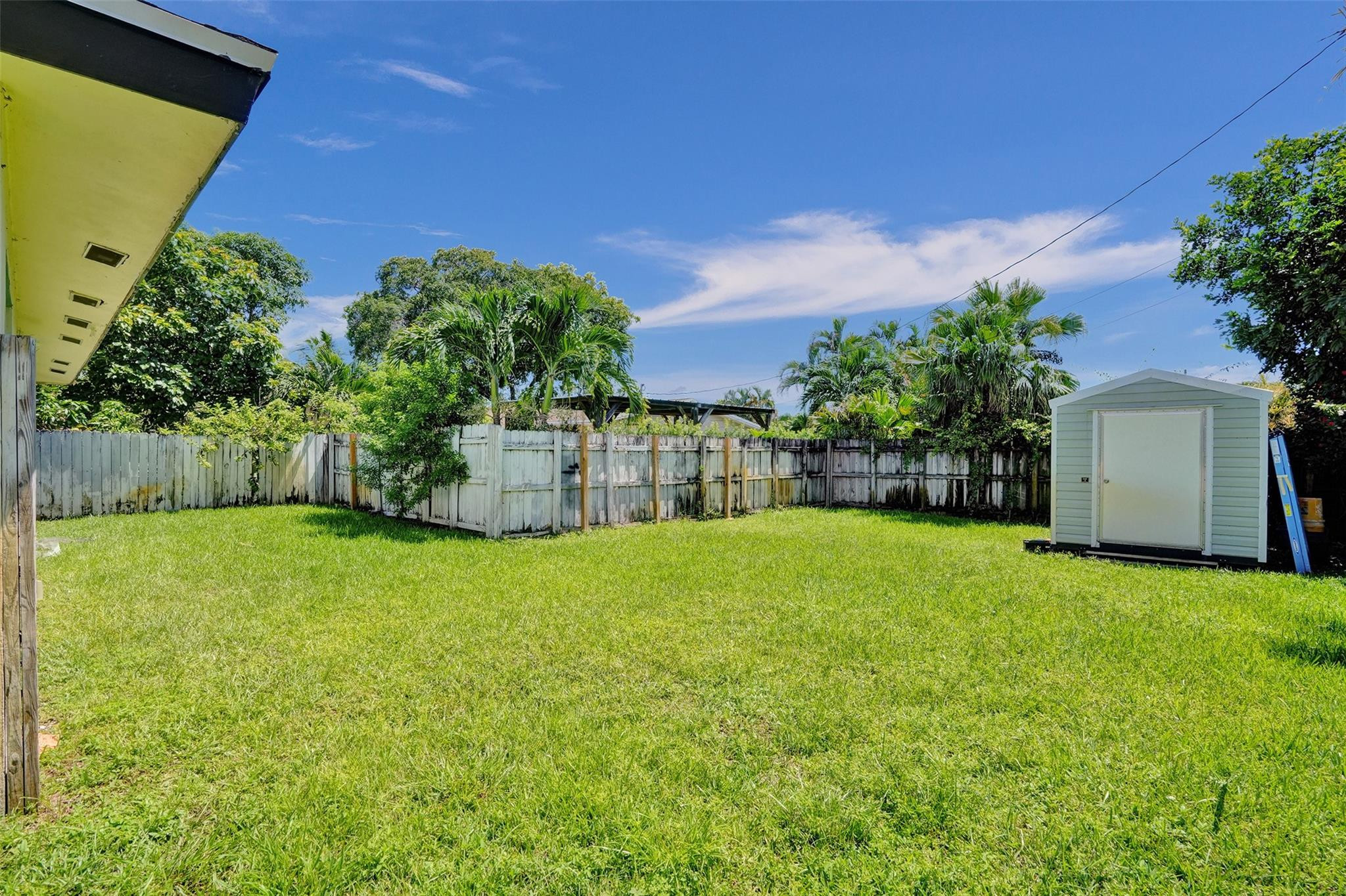 Backyard lawn bordered by wooden fencing, tropical palms, and a small storage shed.