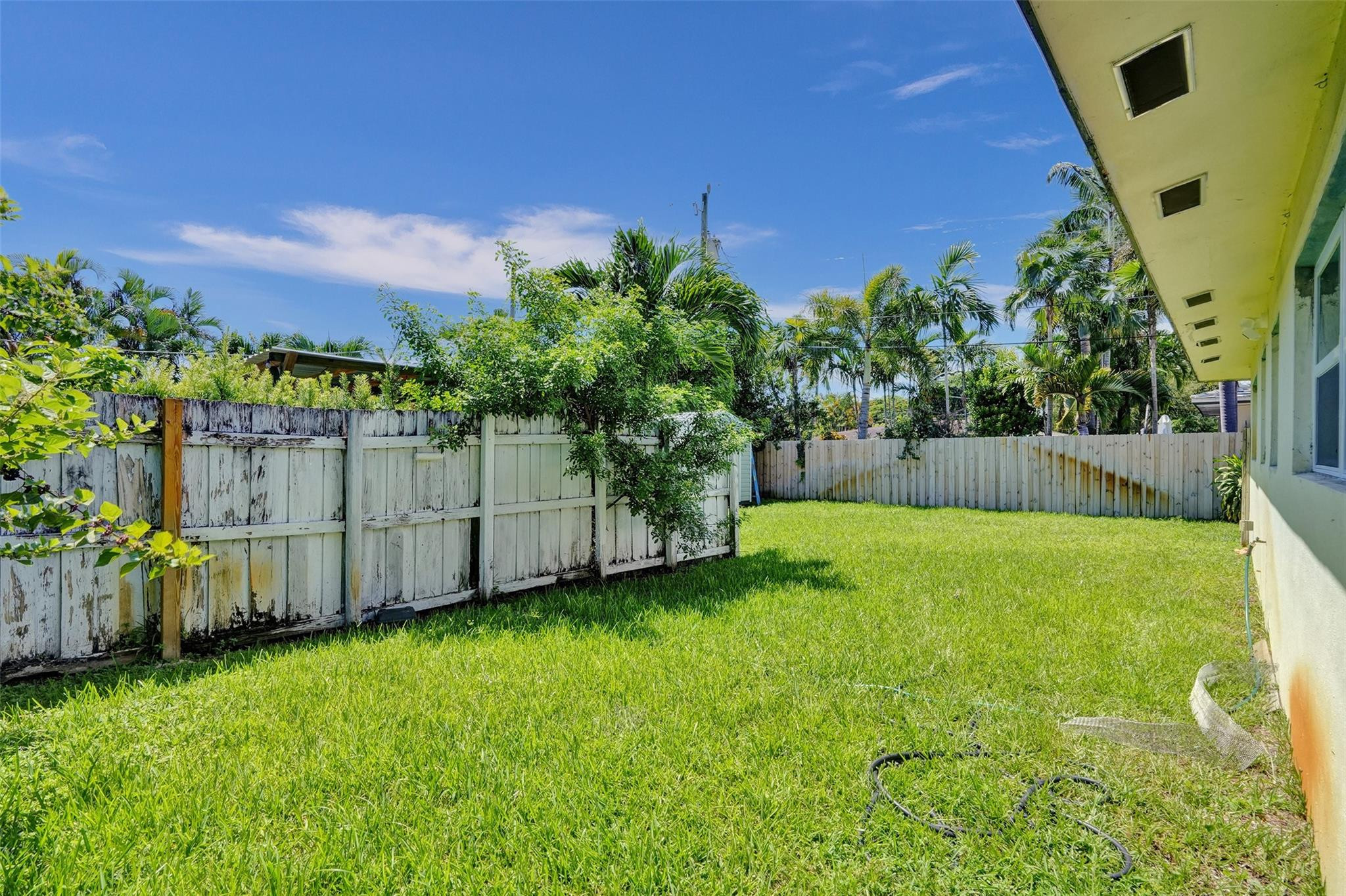 Fenced grassy backyard with tropical palms and the home's exterior wall.