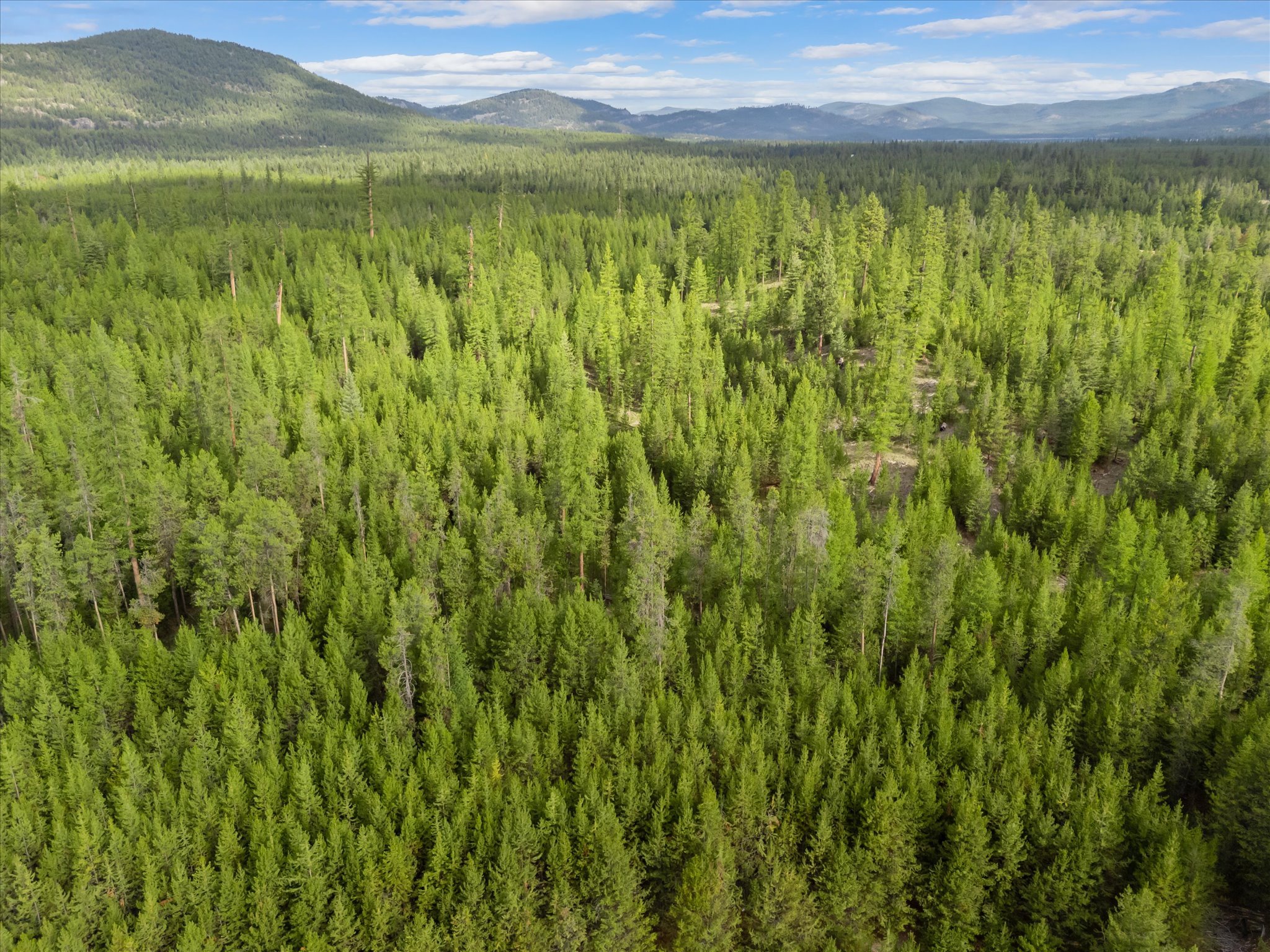 680 Lower Lost Prairie Road