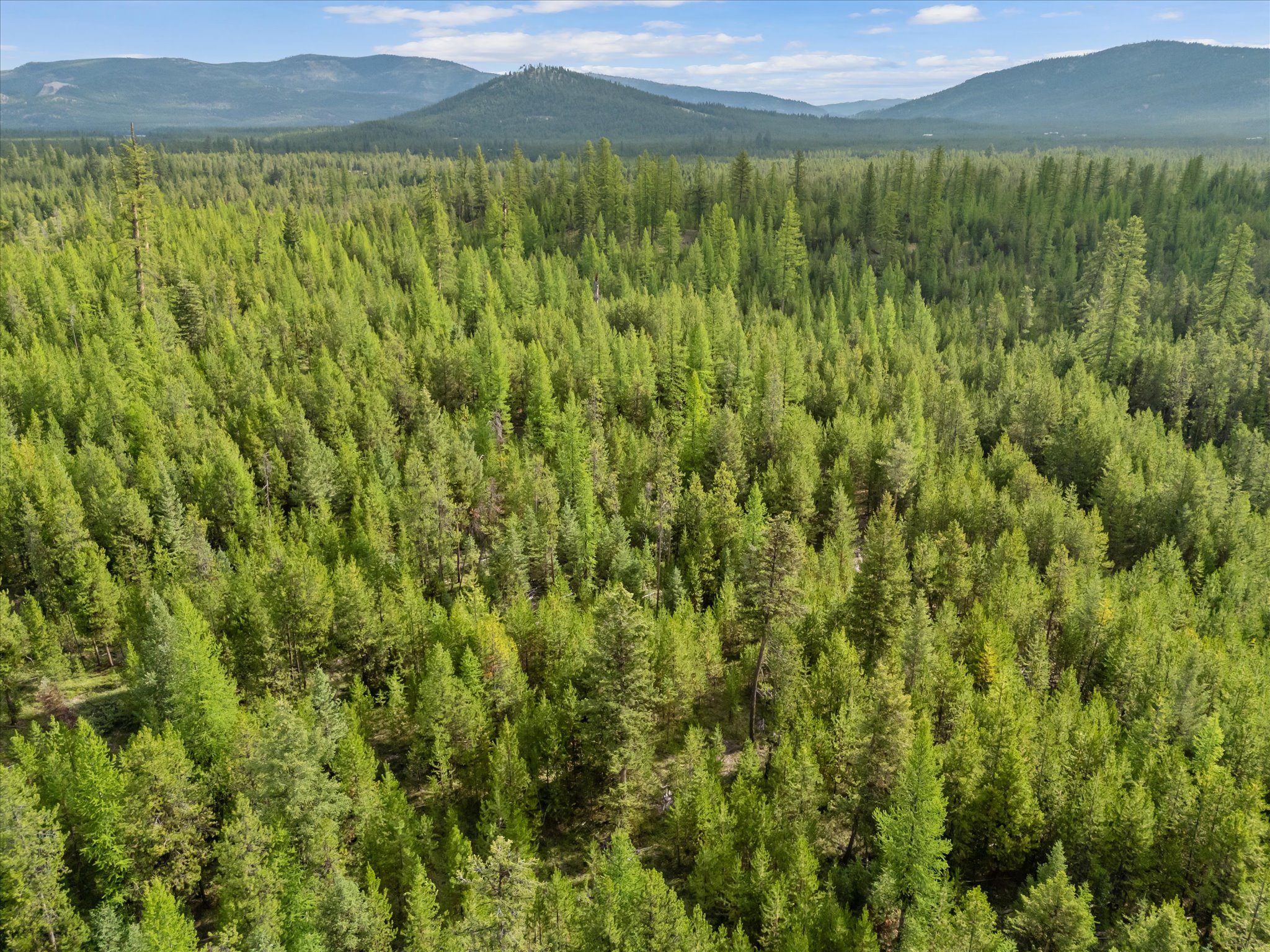 680 Lower Lost Prairie Road