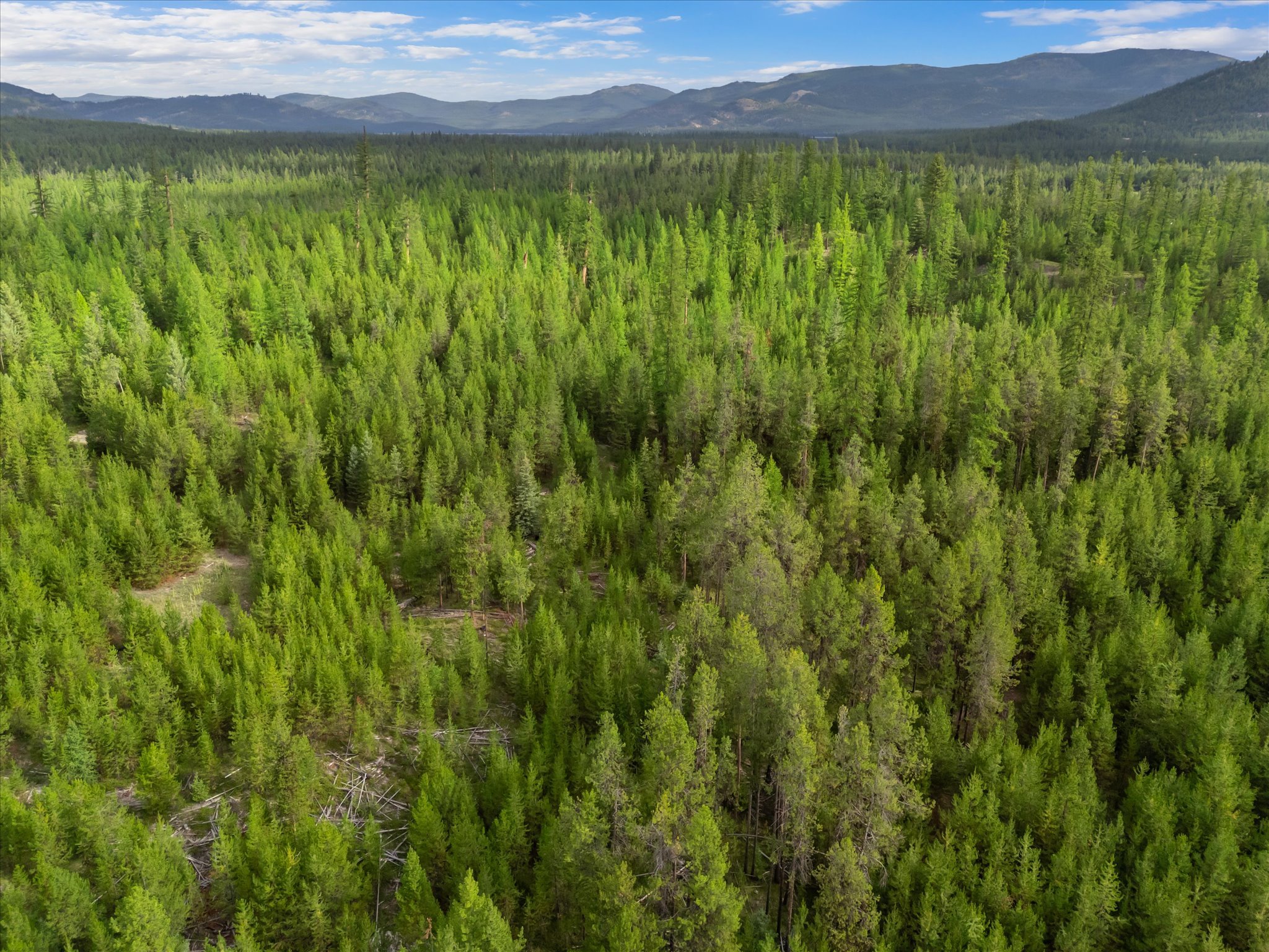 680 Lower Lost Prairie Road