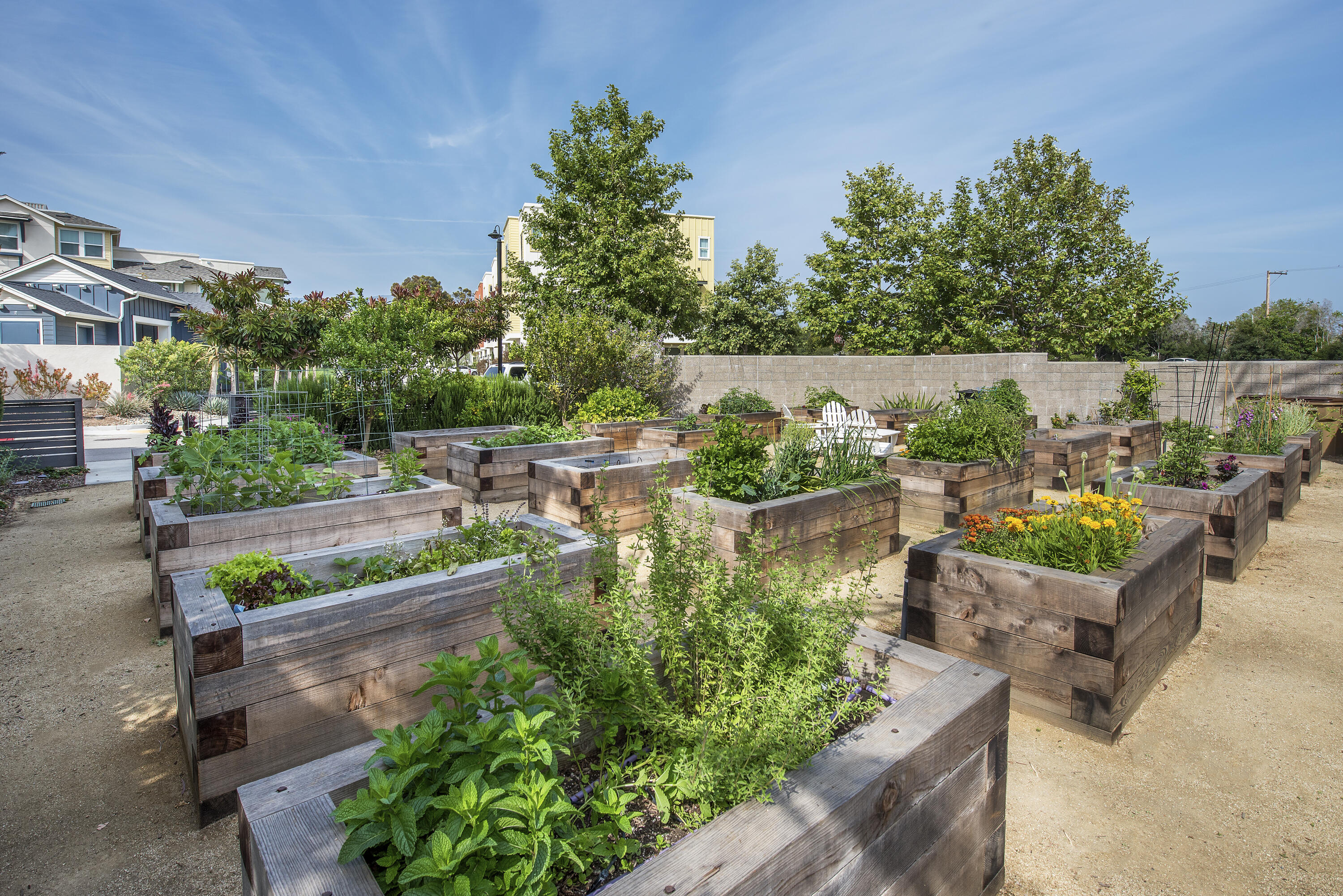 5687 Ekwill Street 105