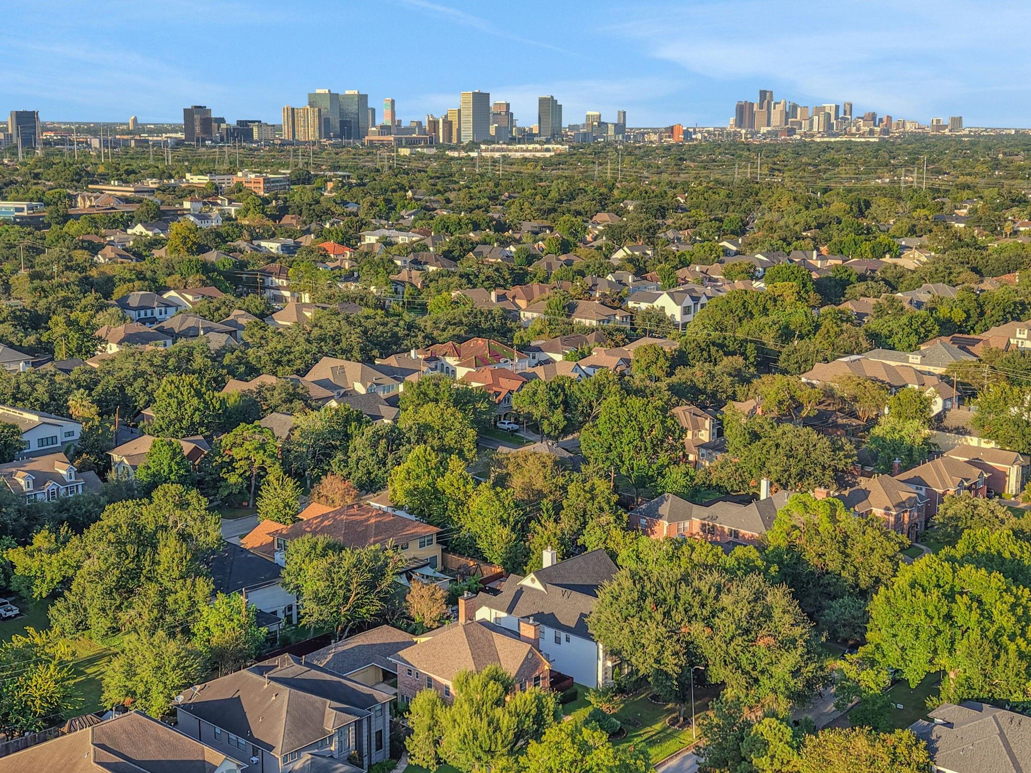 Aerial view of a tree-lined neighborhood with the Houston skyline in the distance.