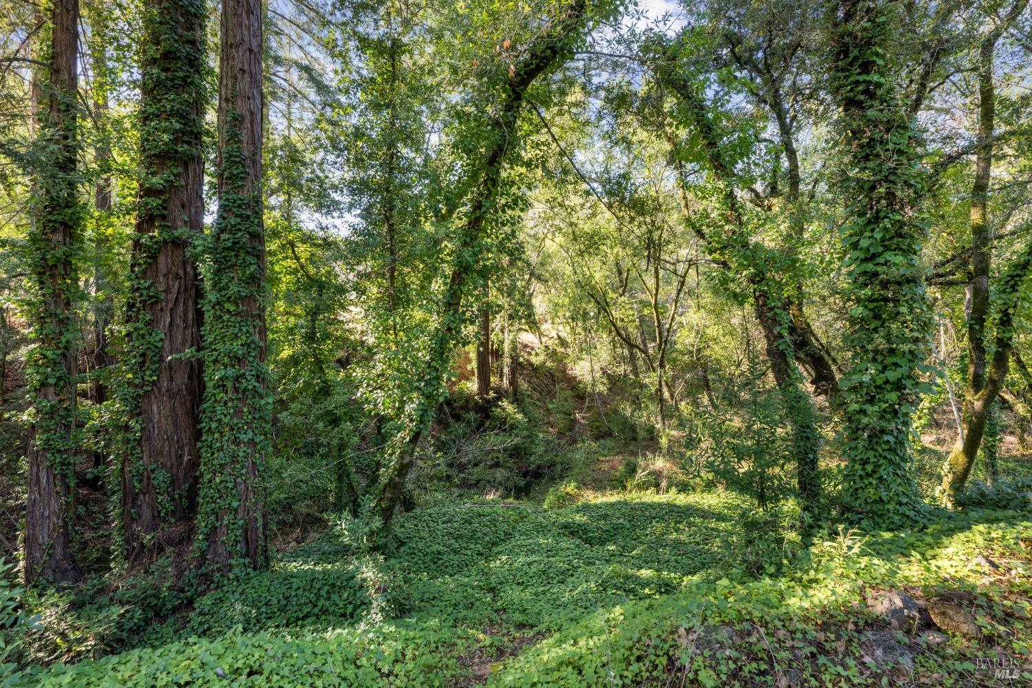 1975 Warm Springs Rd