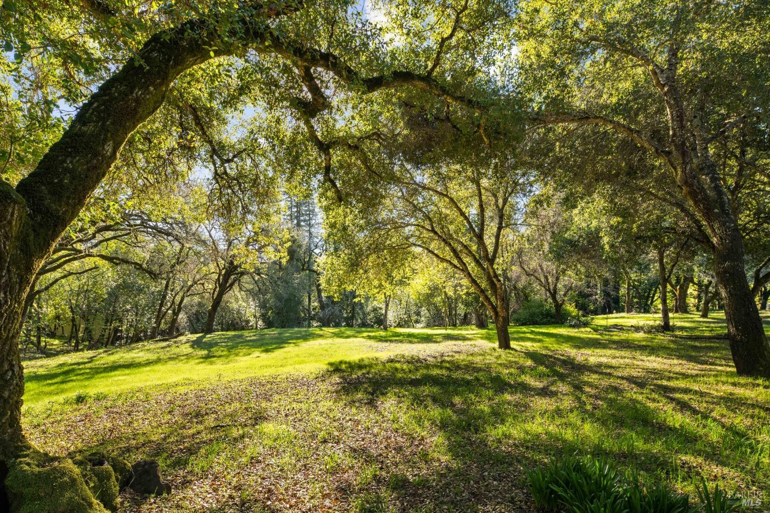 1975 Warm Springs Rd