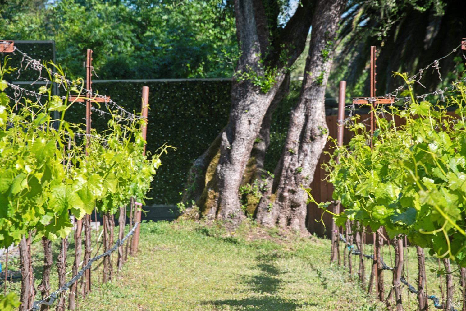 4920 Warm Springs Rd