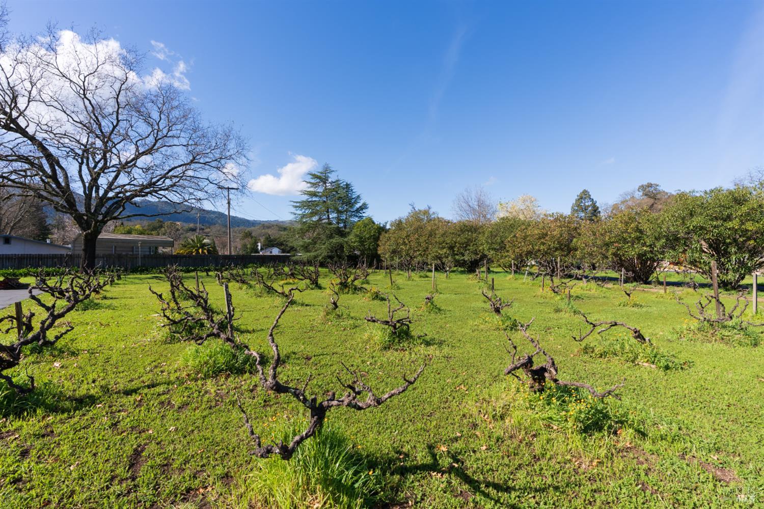 15416 Woodside Court