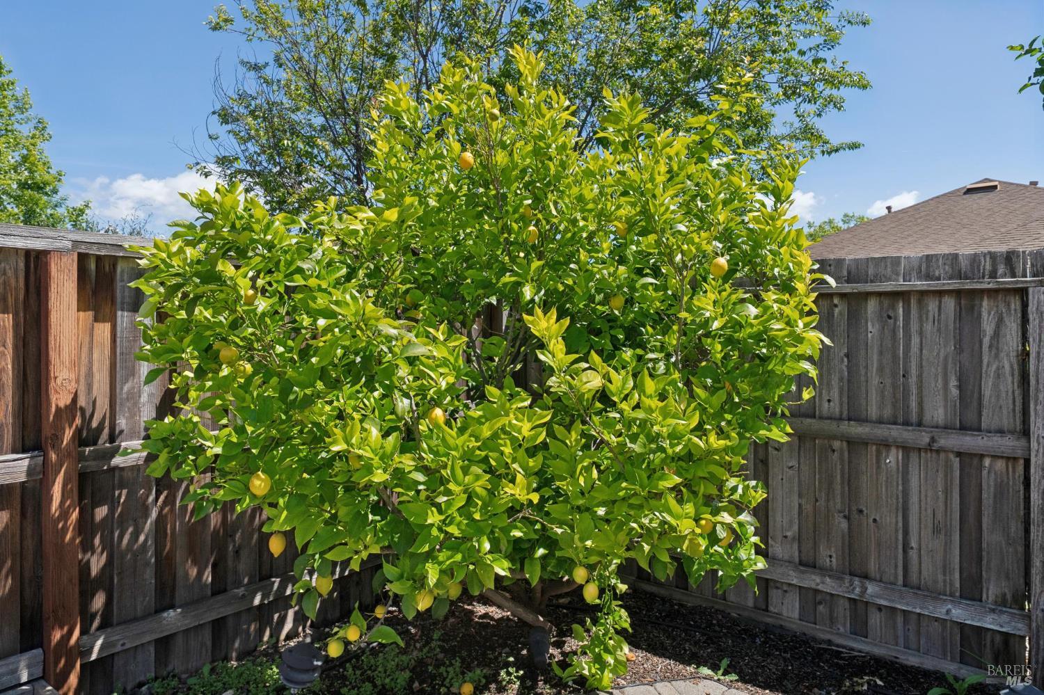 920 W 5th Street W Unit: #R