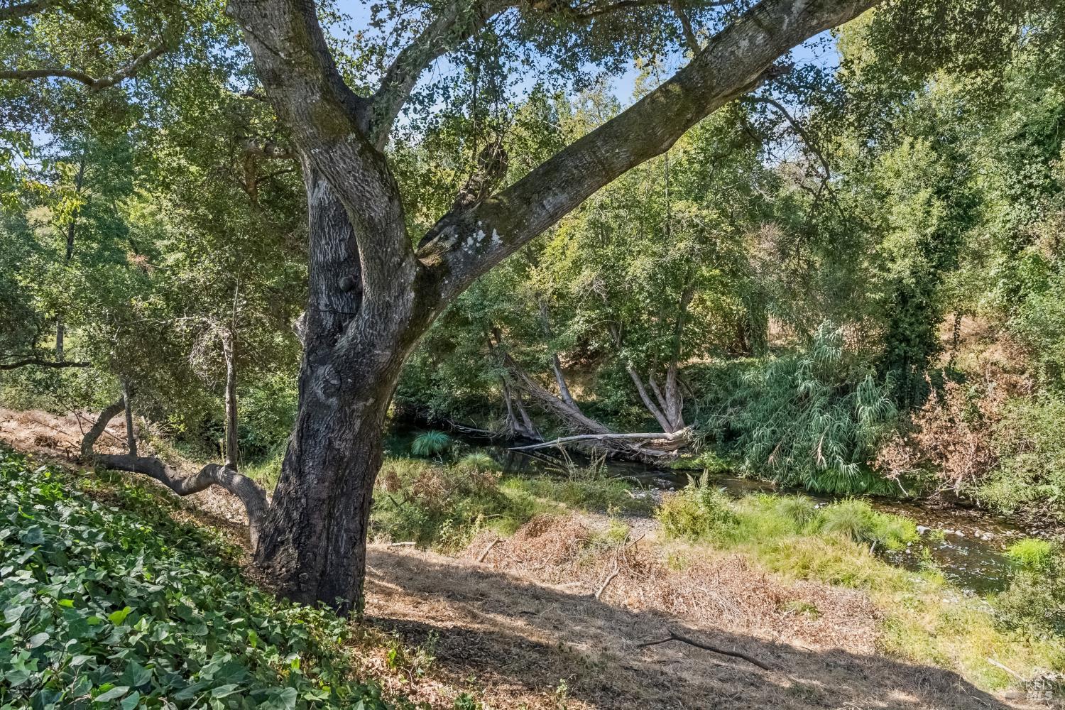 71 Creek Lane