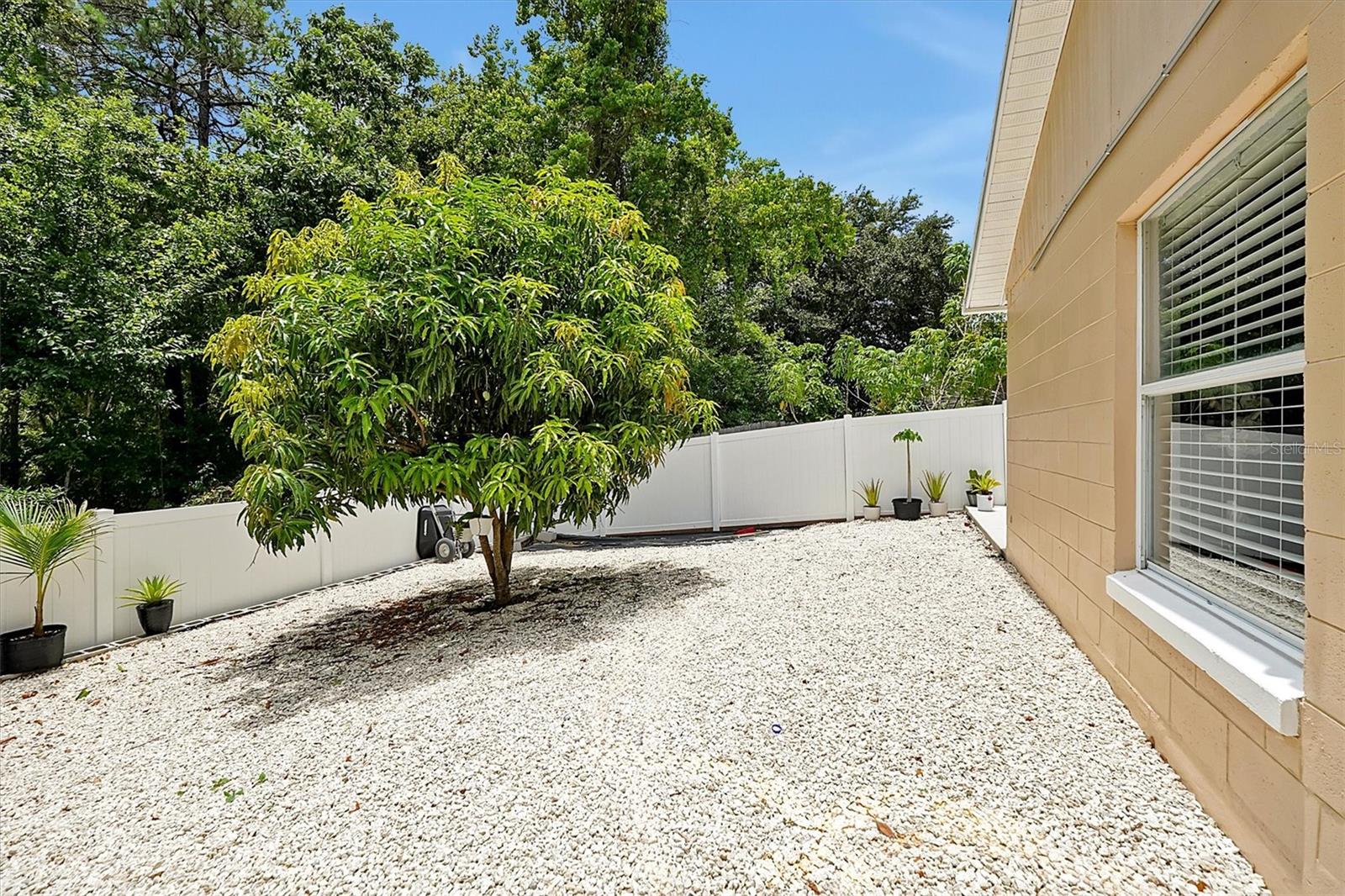 4992 LUNA NEGRA DR