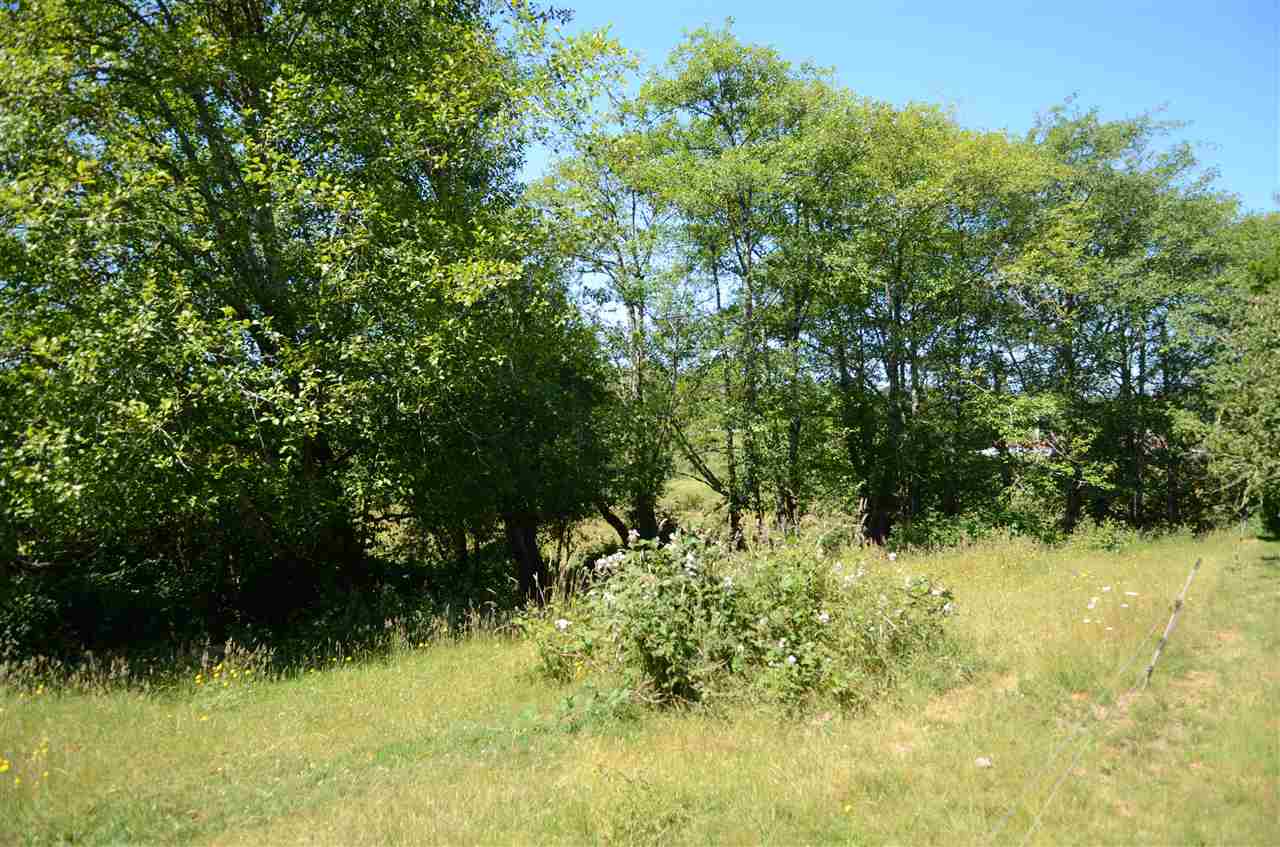 110 Ulrich Lane