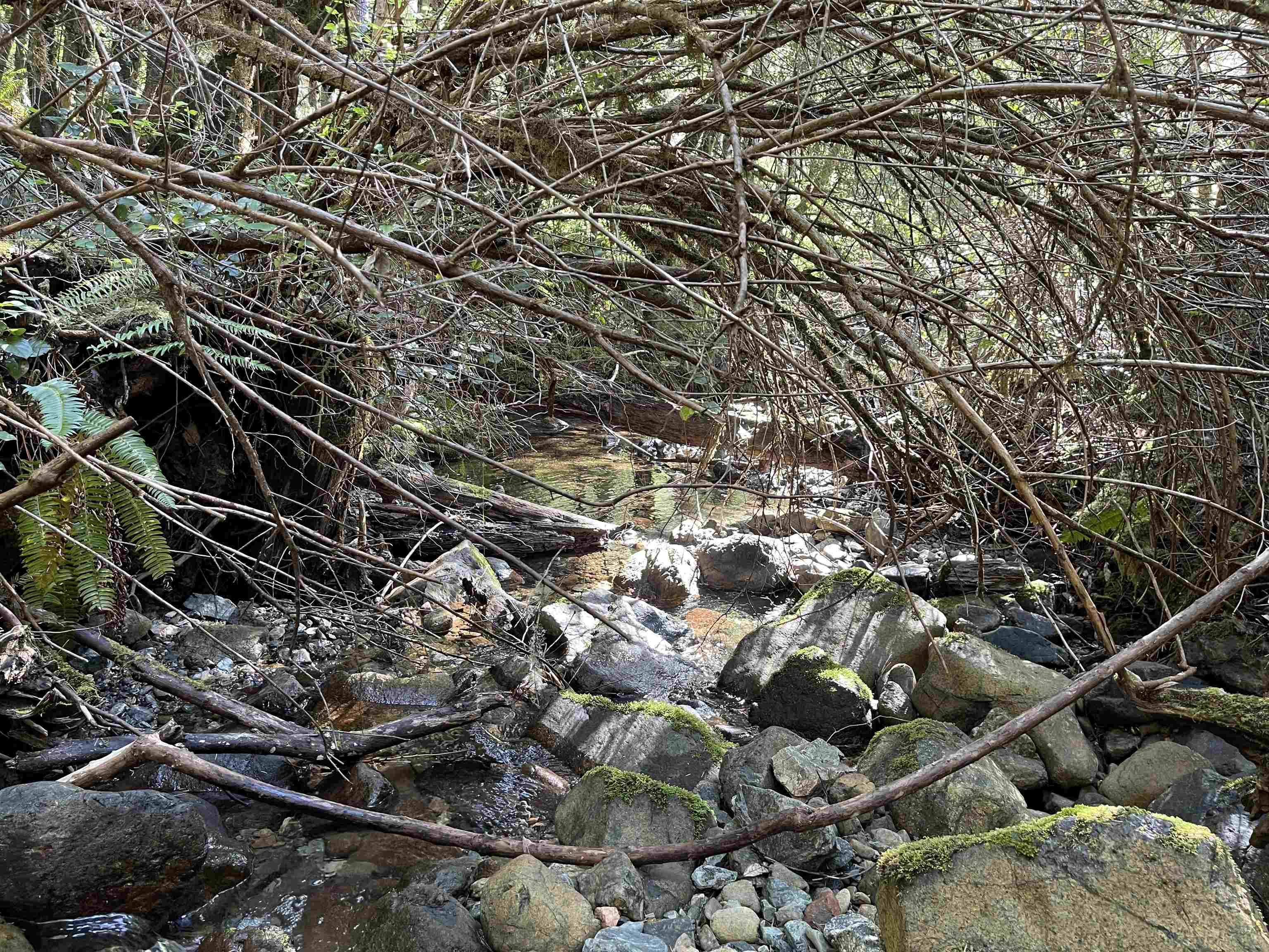 000 Rowdy Creek Road