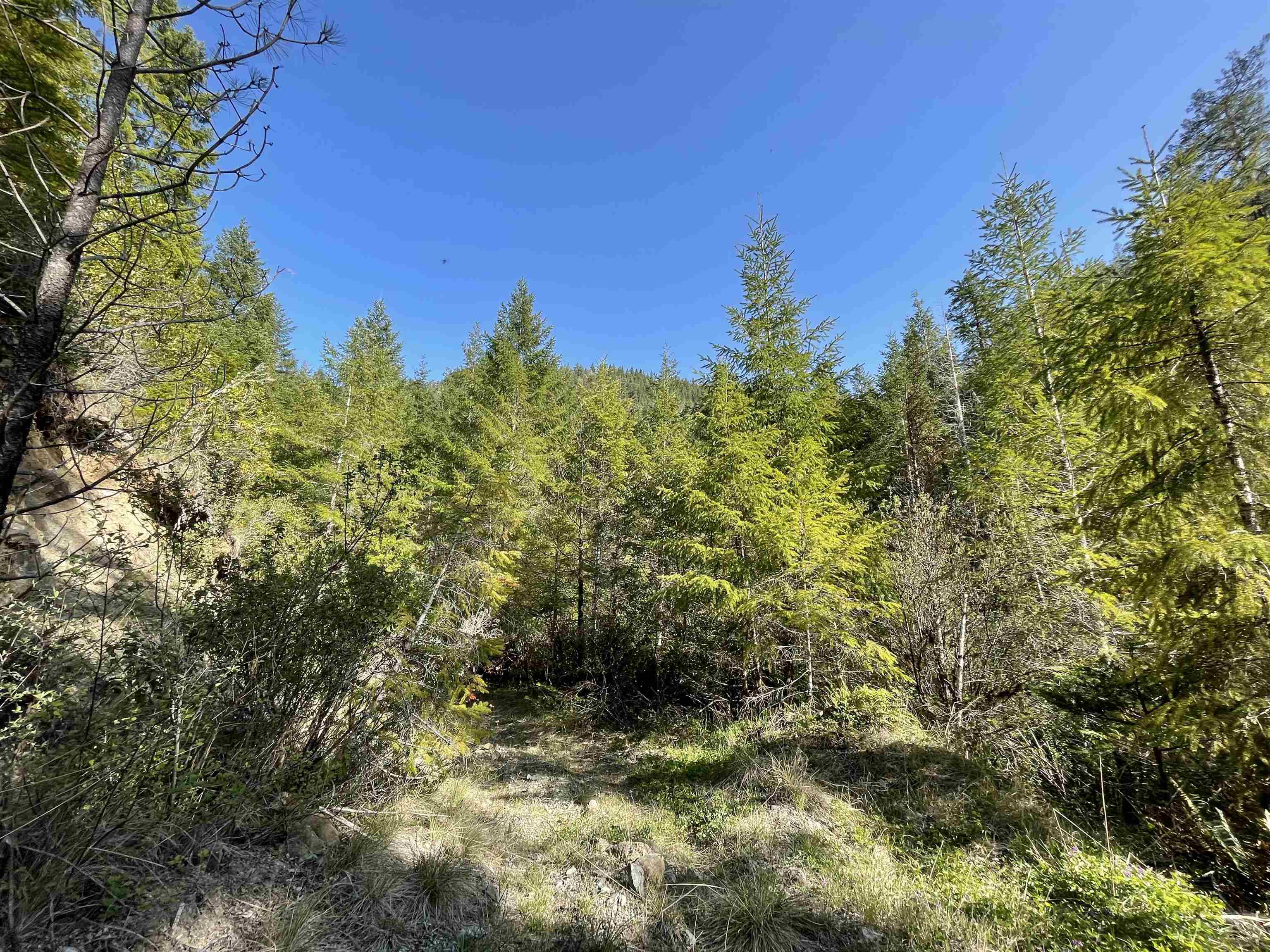 000 Rowdy Creek Road