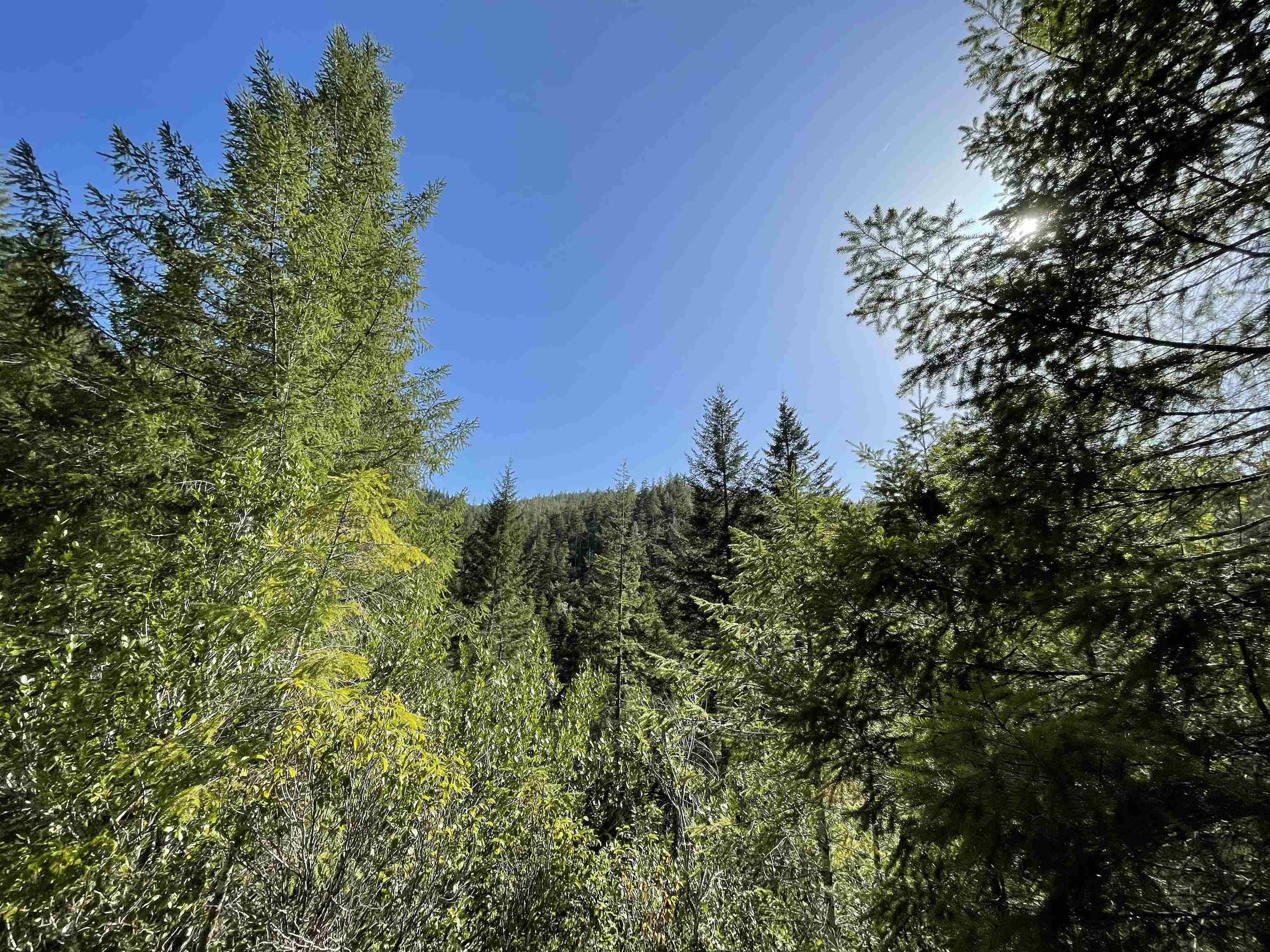000 Rowdy Creek Road