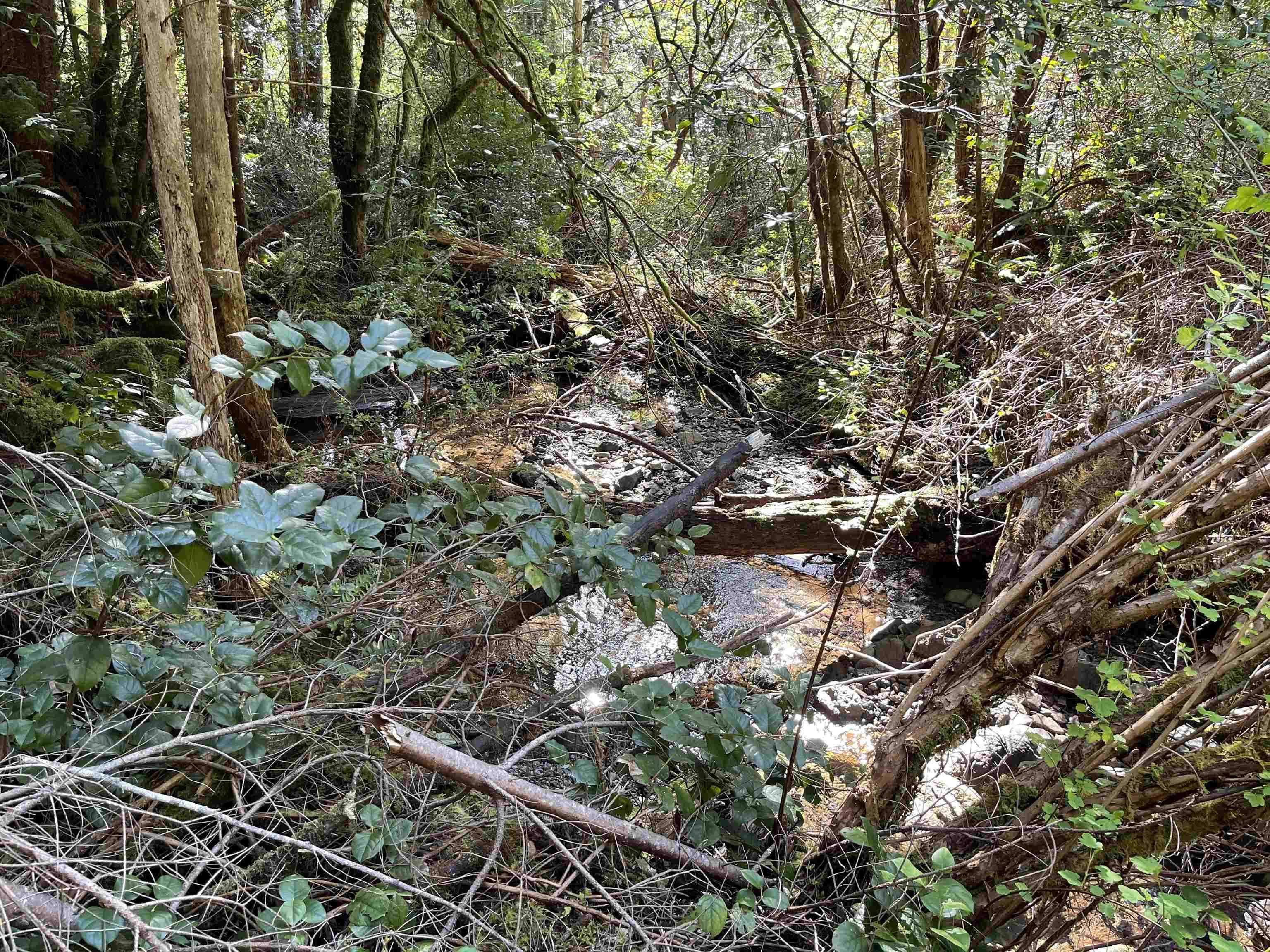 000 Rowdy Creek Road