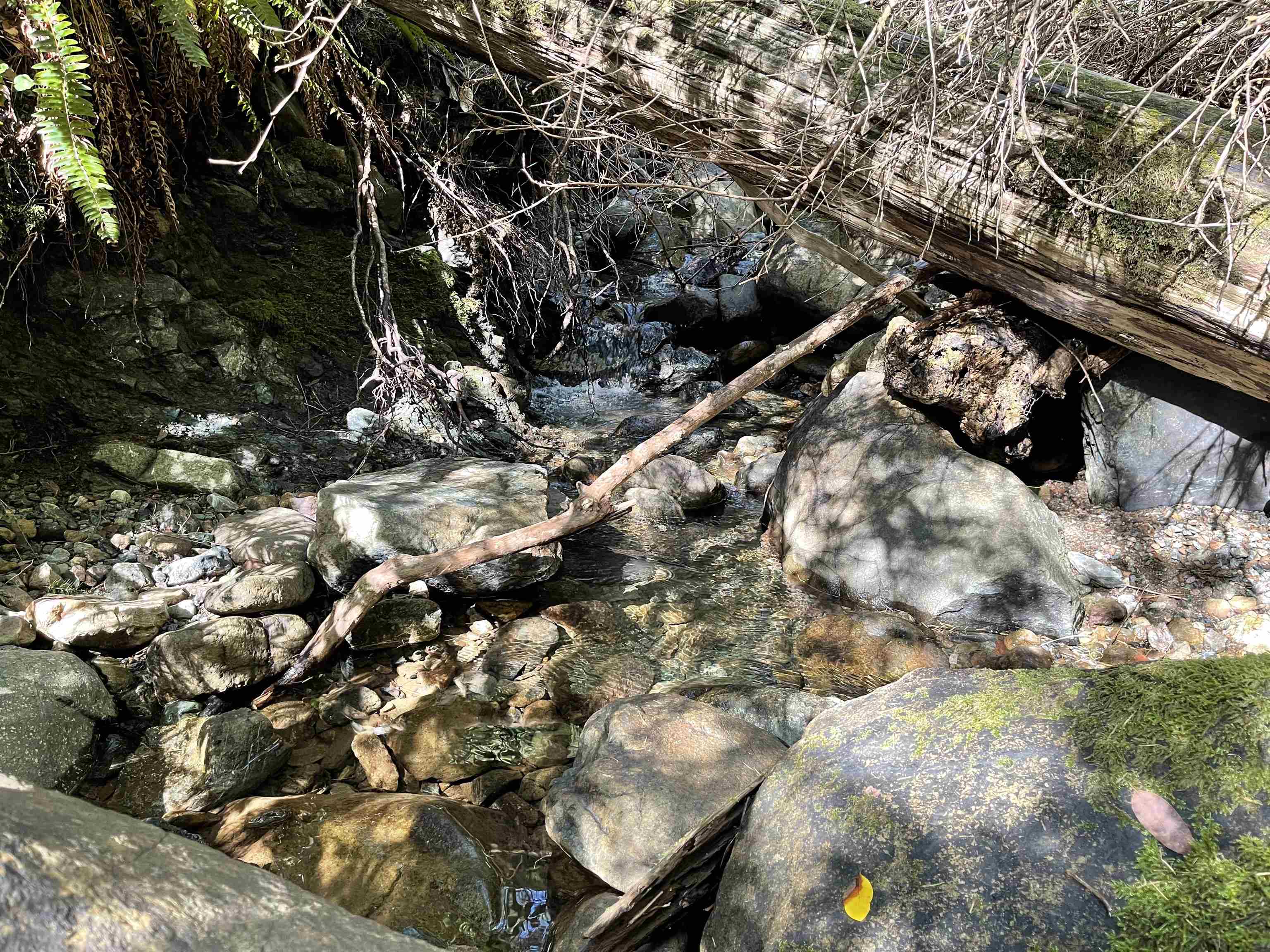 000 Rowdy Creek Road