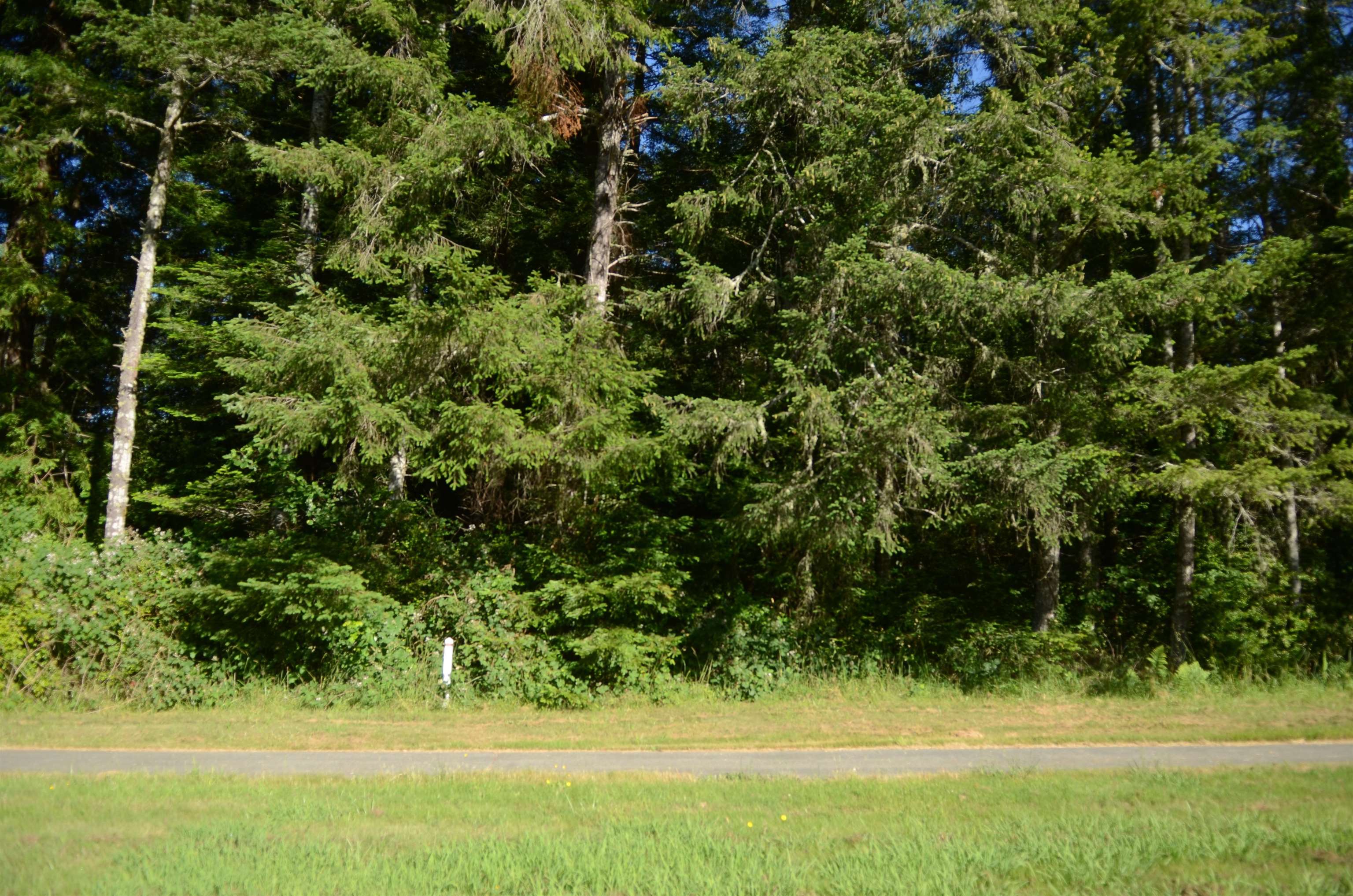 36 Bell Hole Loop
