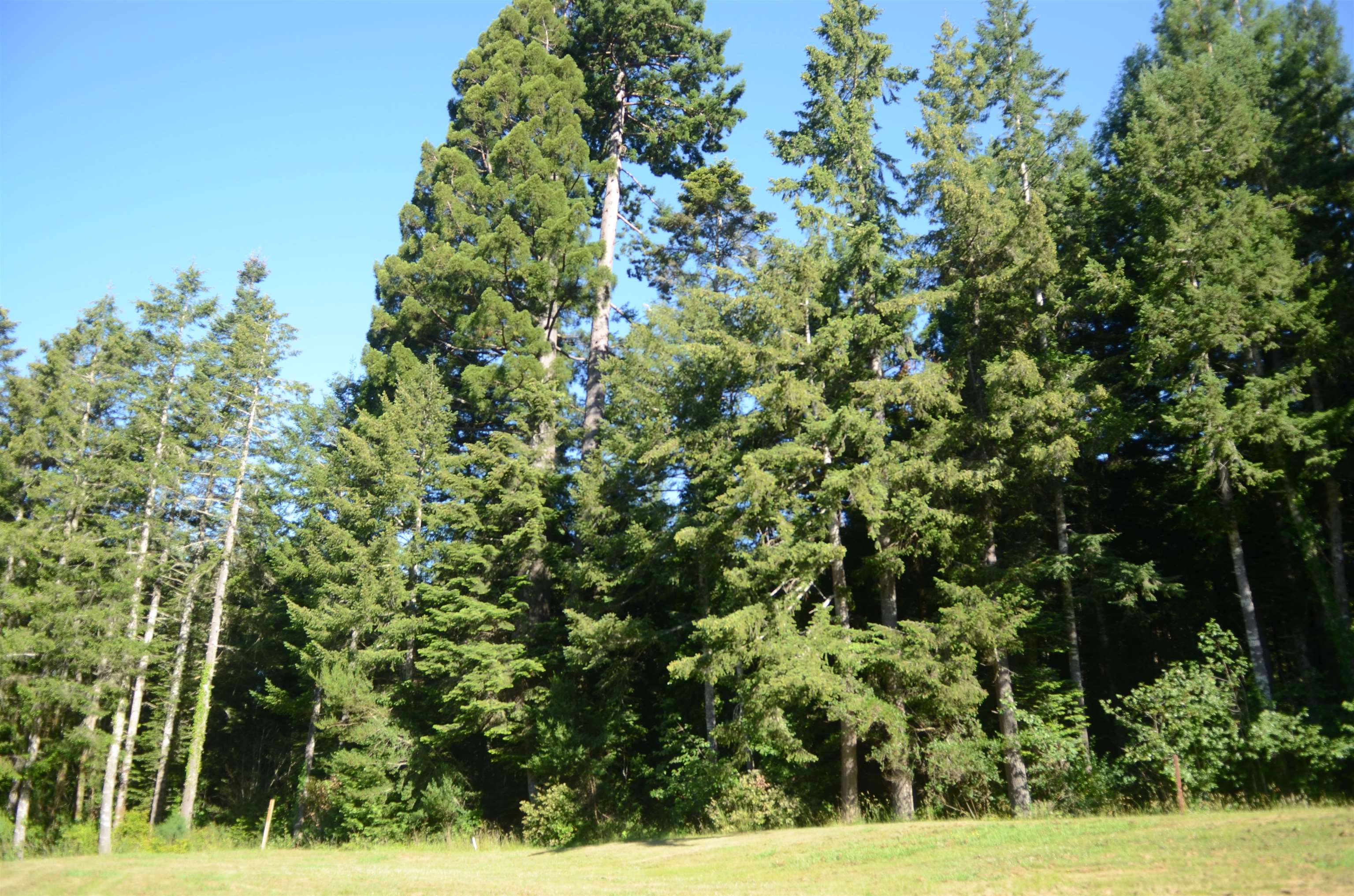 36 Bell Hole Loop
