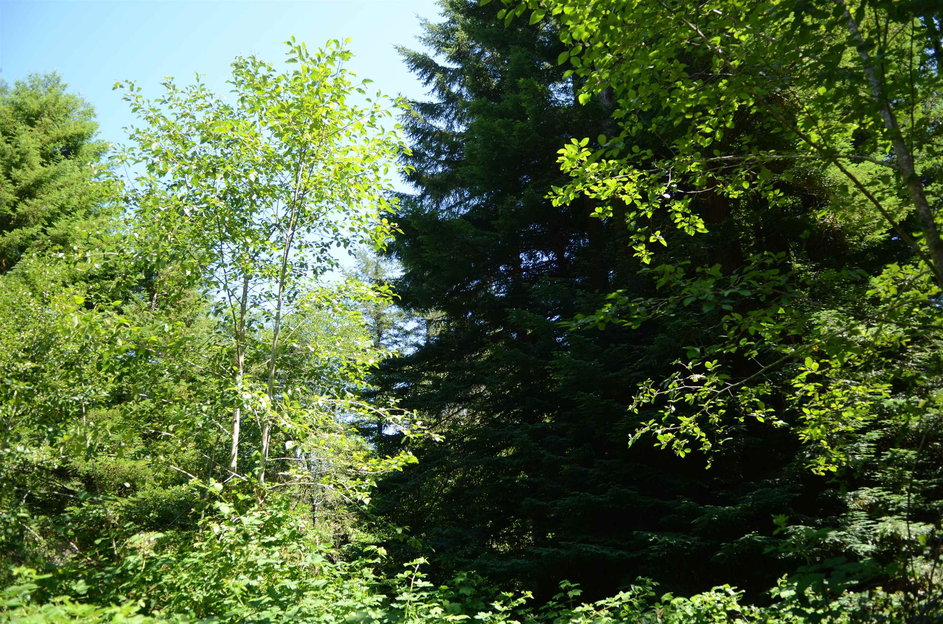 36 Bell Hole Loop