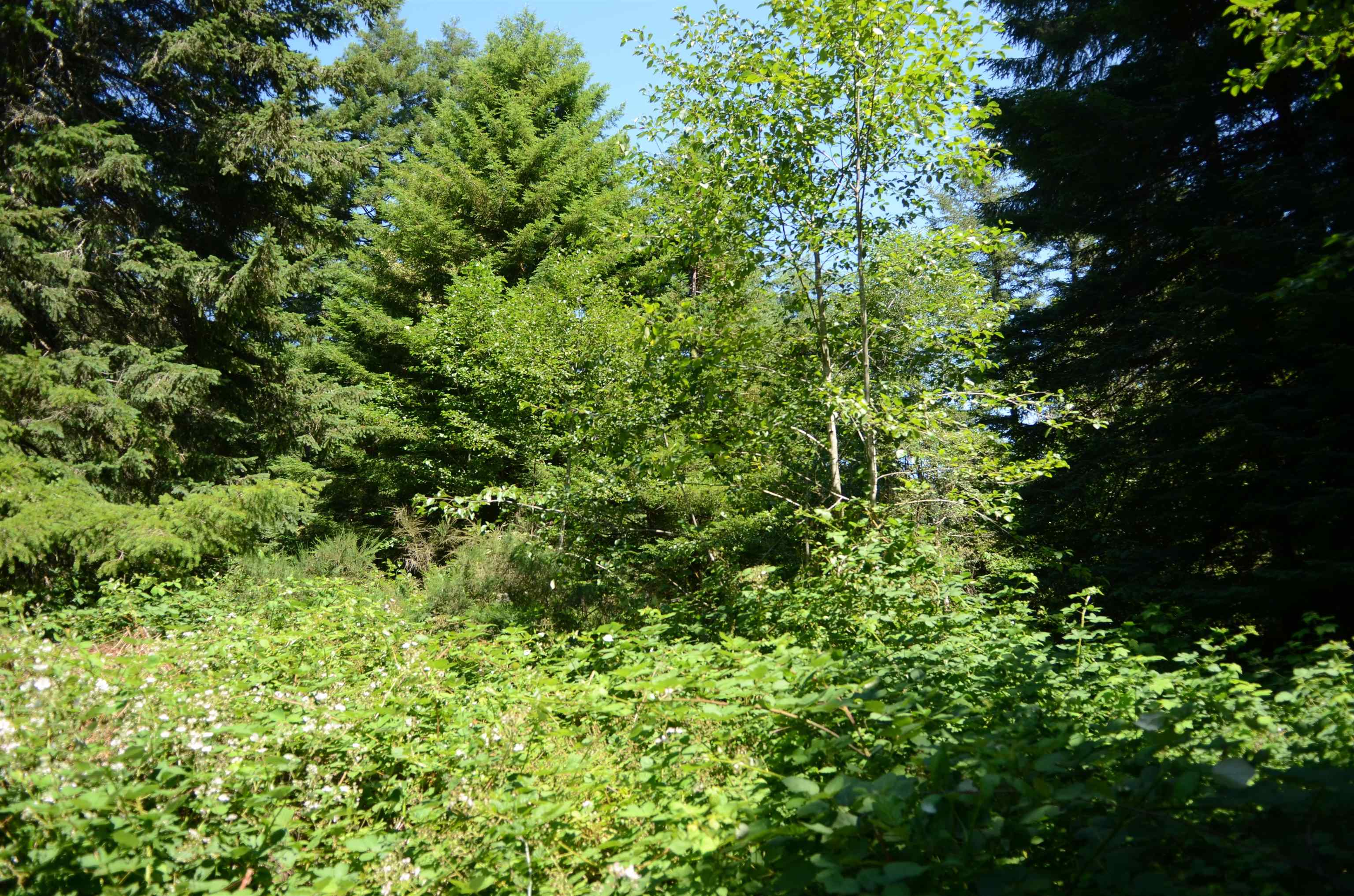36 Bell Hole Loop