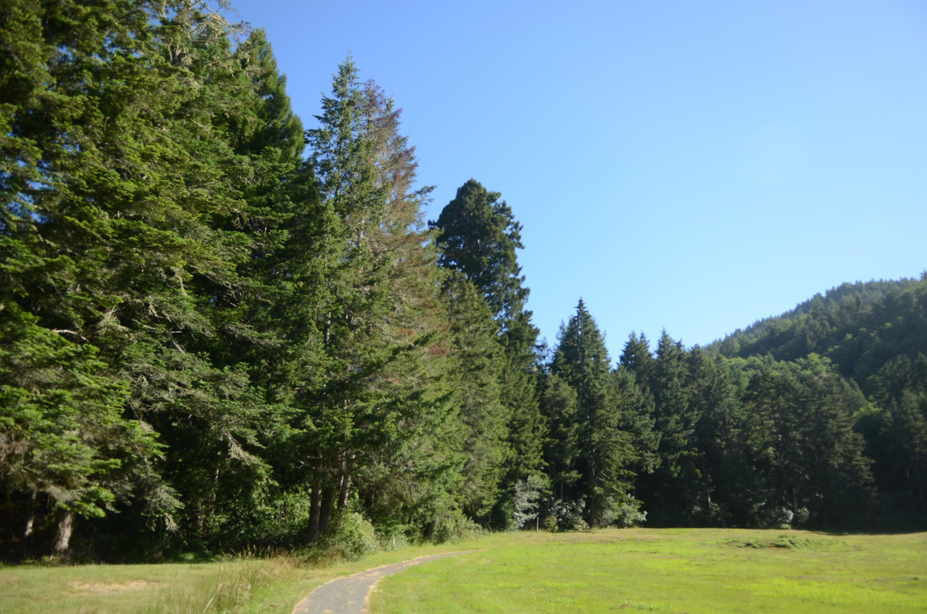 36 Bell Hole Loop