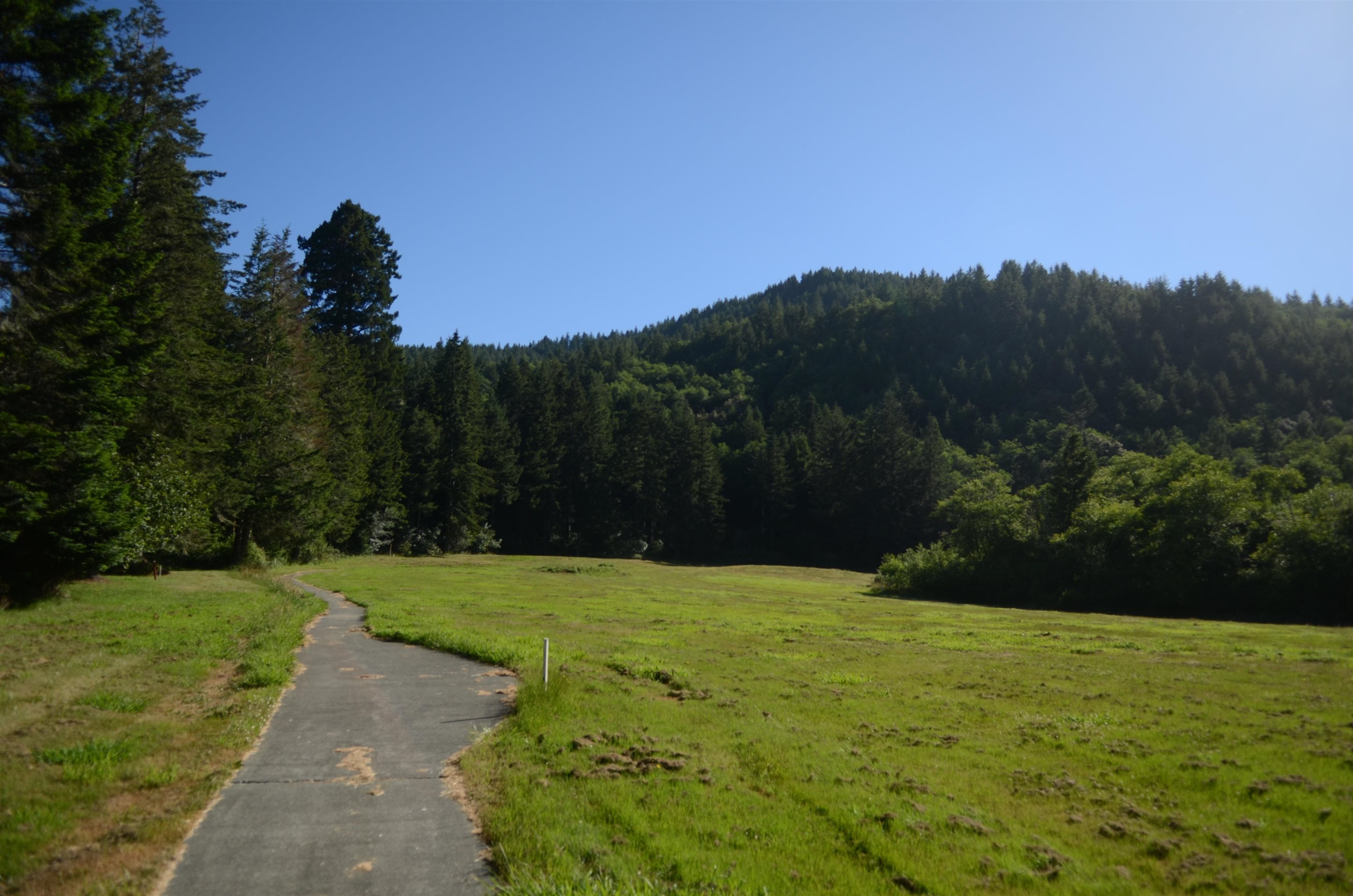 36 Bell Hole Loop