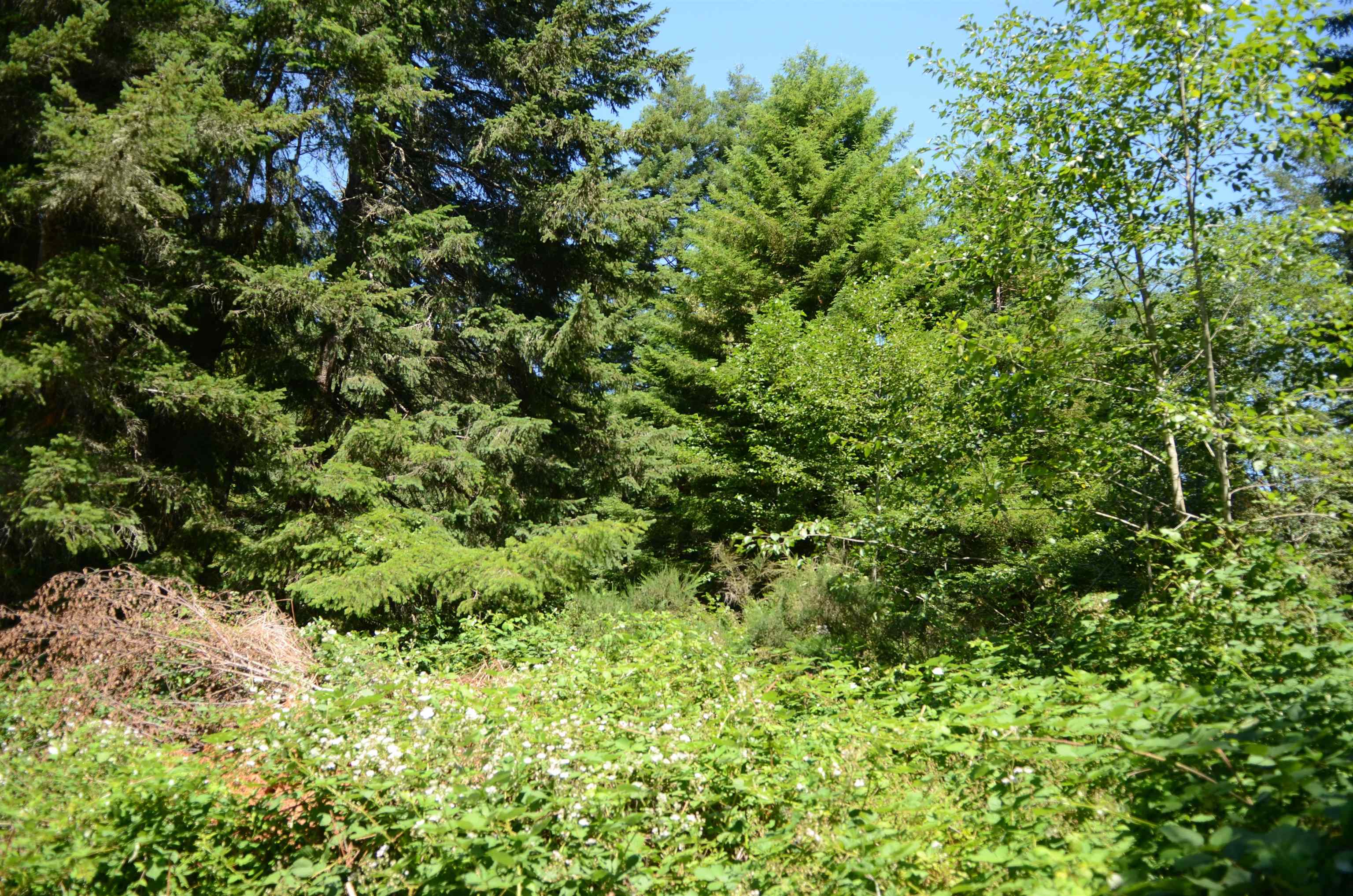 36 Bell Hole Loop