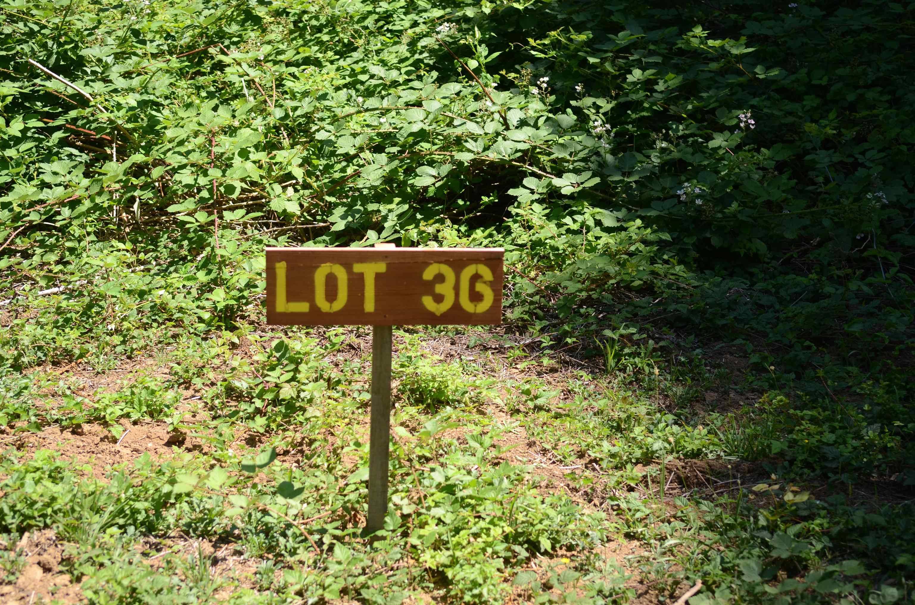 36 Bell Hole Loop
