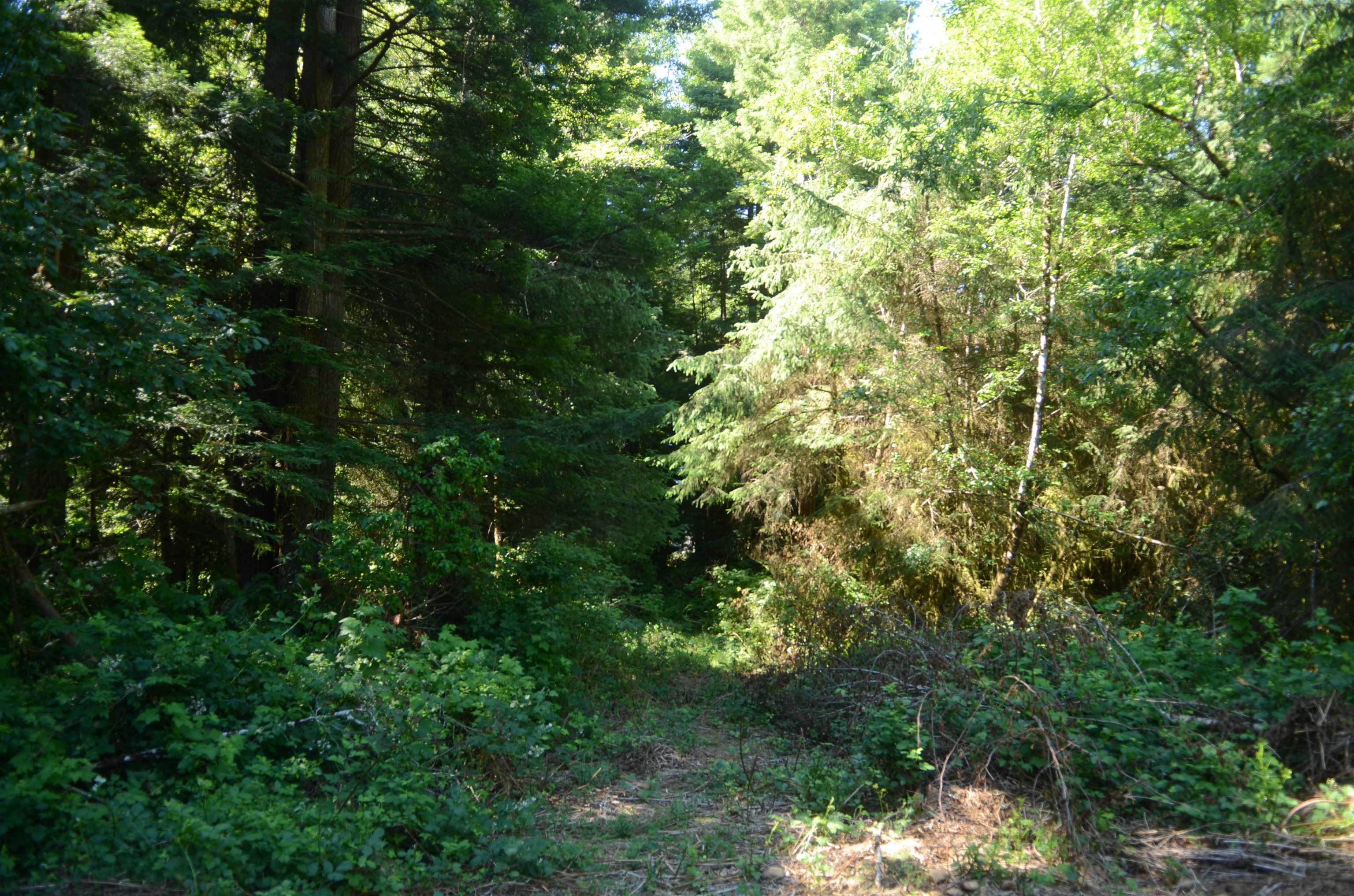 47 Speer Drive